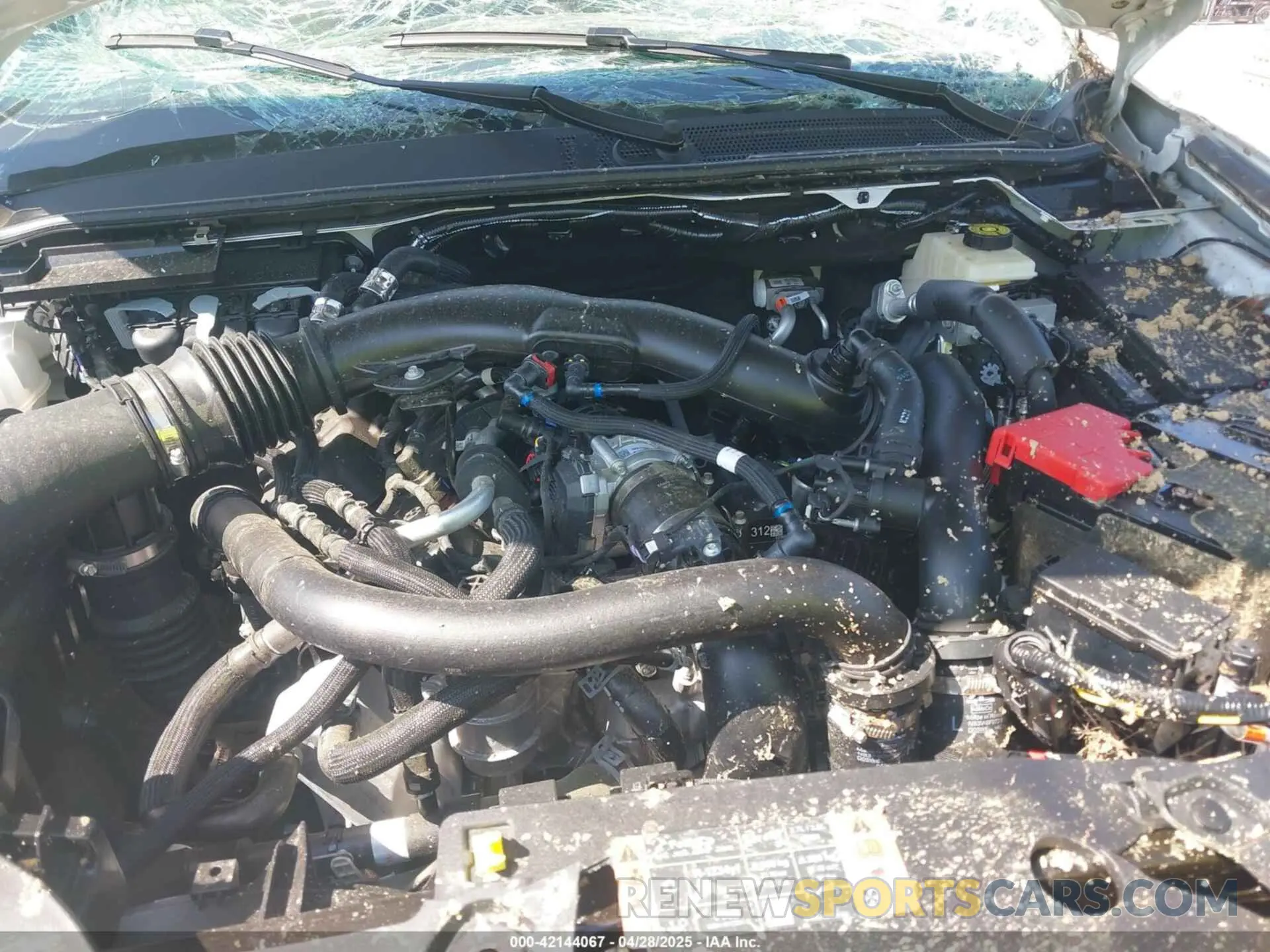 10 Photograph of a damaged car 1FTER4LR8RLE48320 FORD RANGER 2024