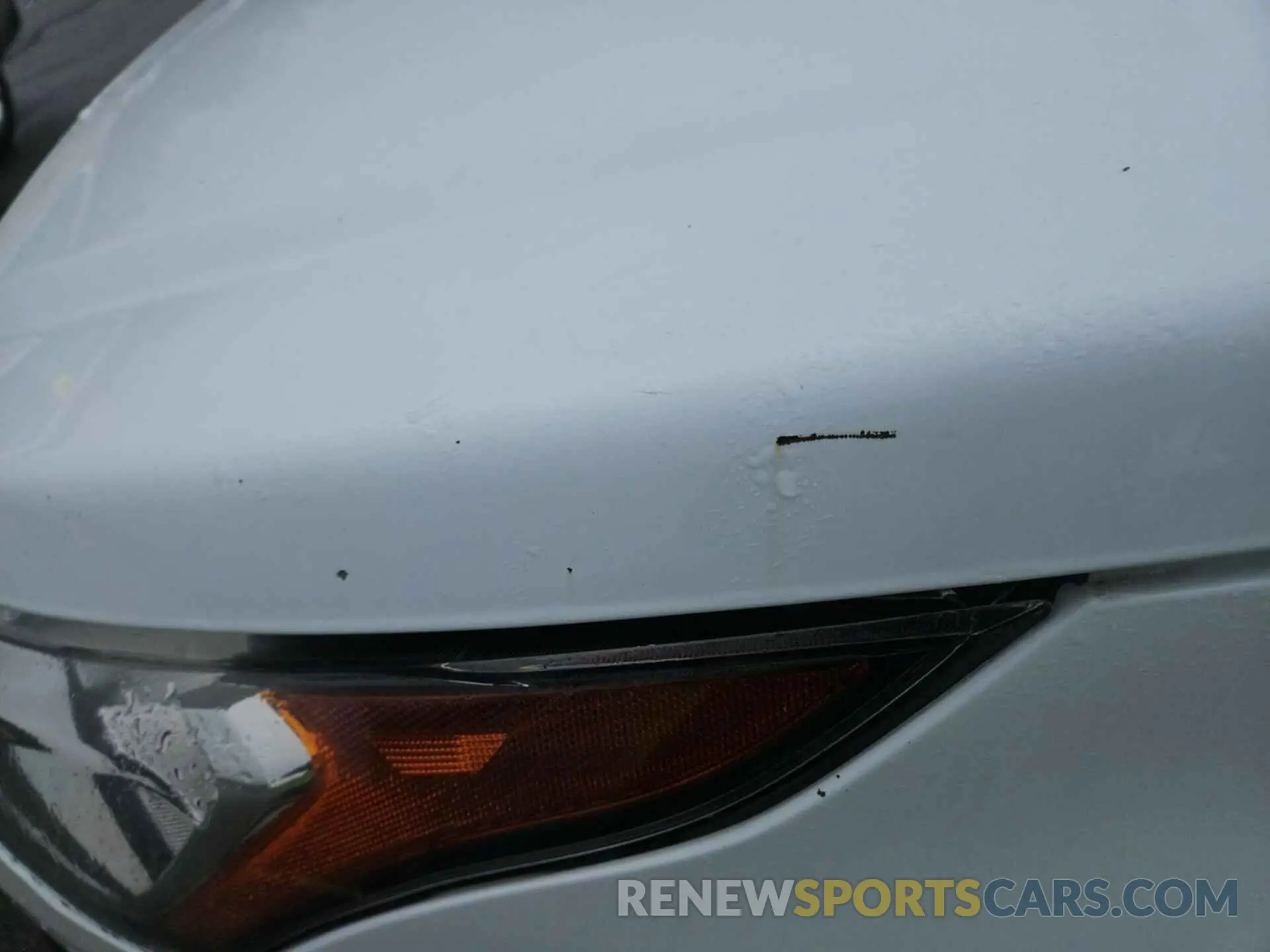 2 Photograph of a damaged car NM0LS7E79K1397546 FORD TRANSIT CONNECT 2019