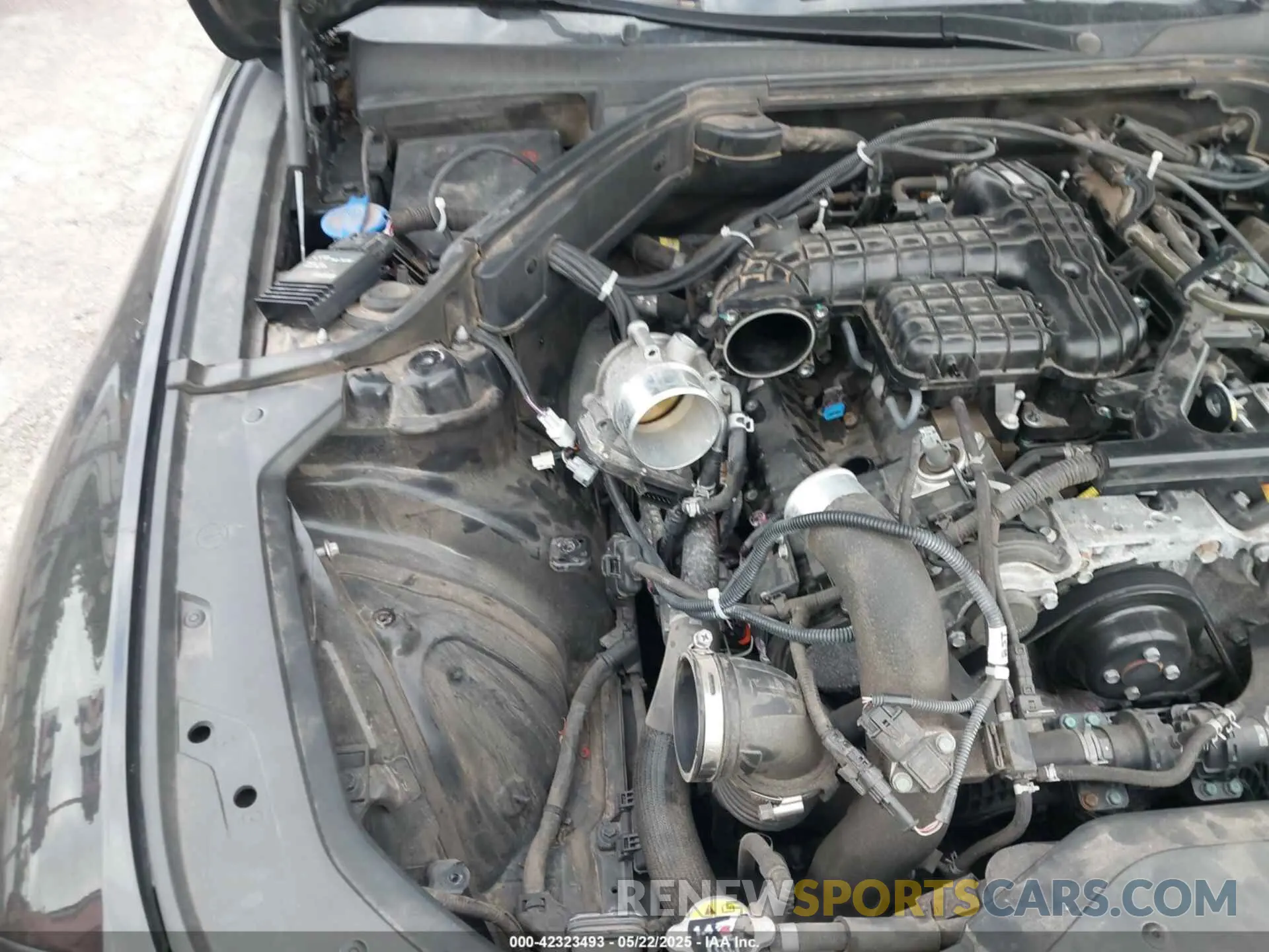 6 Photograph of a damaged car KMTG54TE0NU081954 GENESIS G70 2022