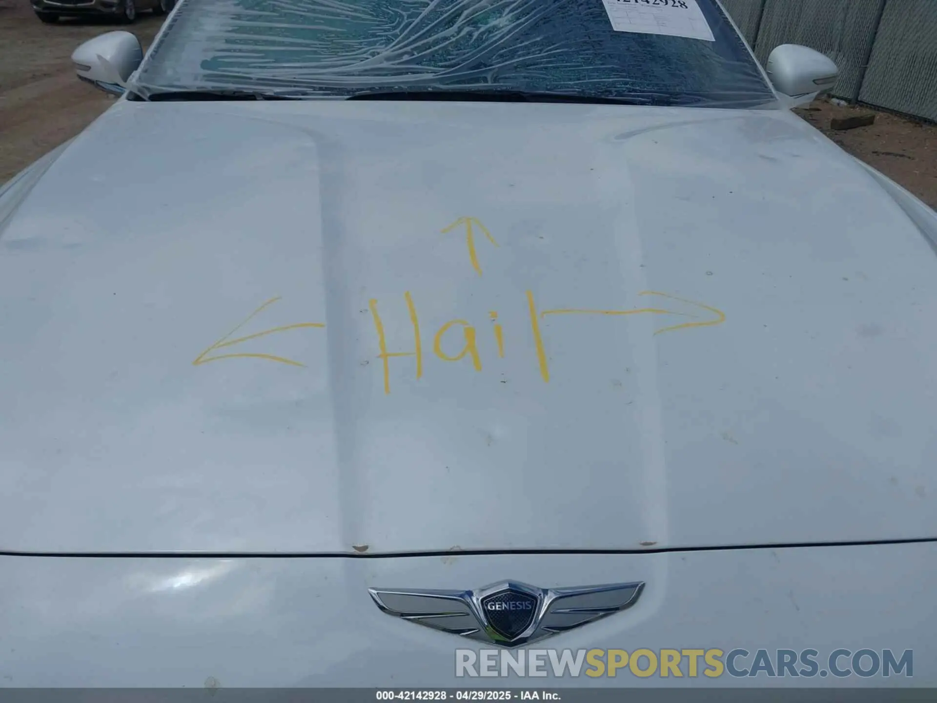 6 Photograph of a damaged car KMTG34TA7PU131917 GENESIS G70 2023