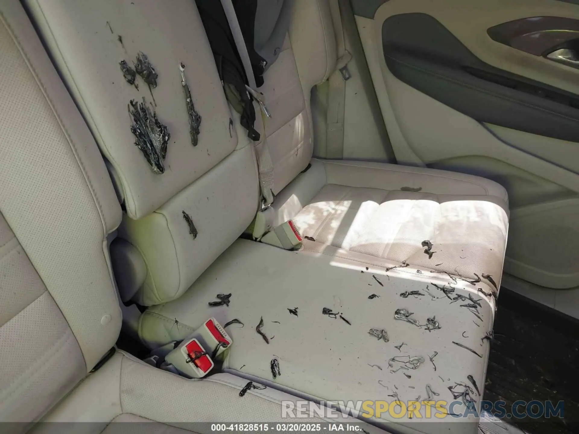 12 Фотография поврежденного автомобиля 3GKALXEG3RL213359 GMC TERRAIN 2024