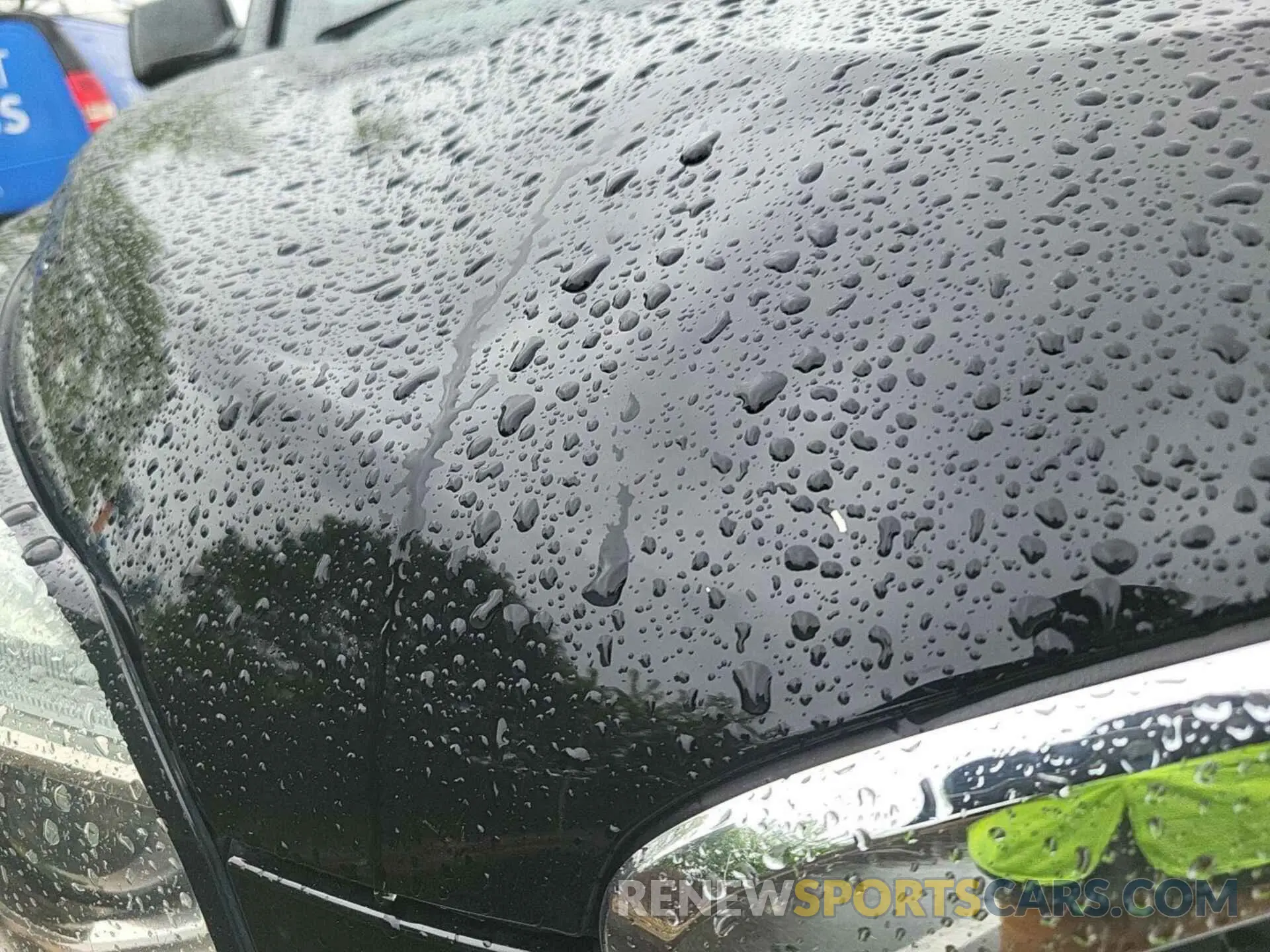 19 Photograph of a damaged car 1GKS2BKC0KR281127 GMC YUKON 2019
