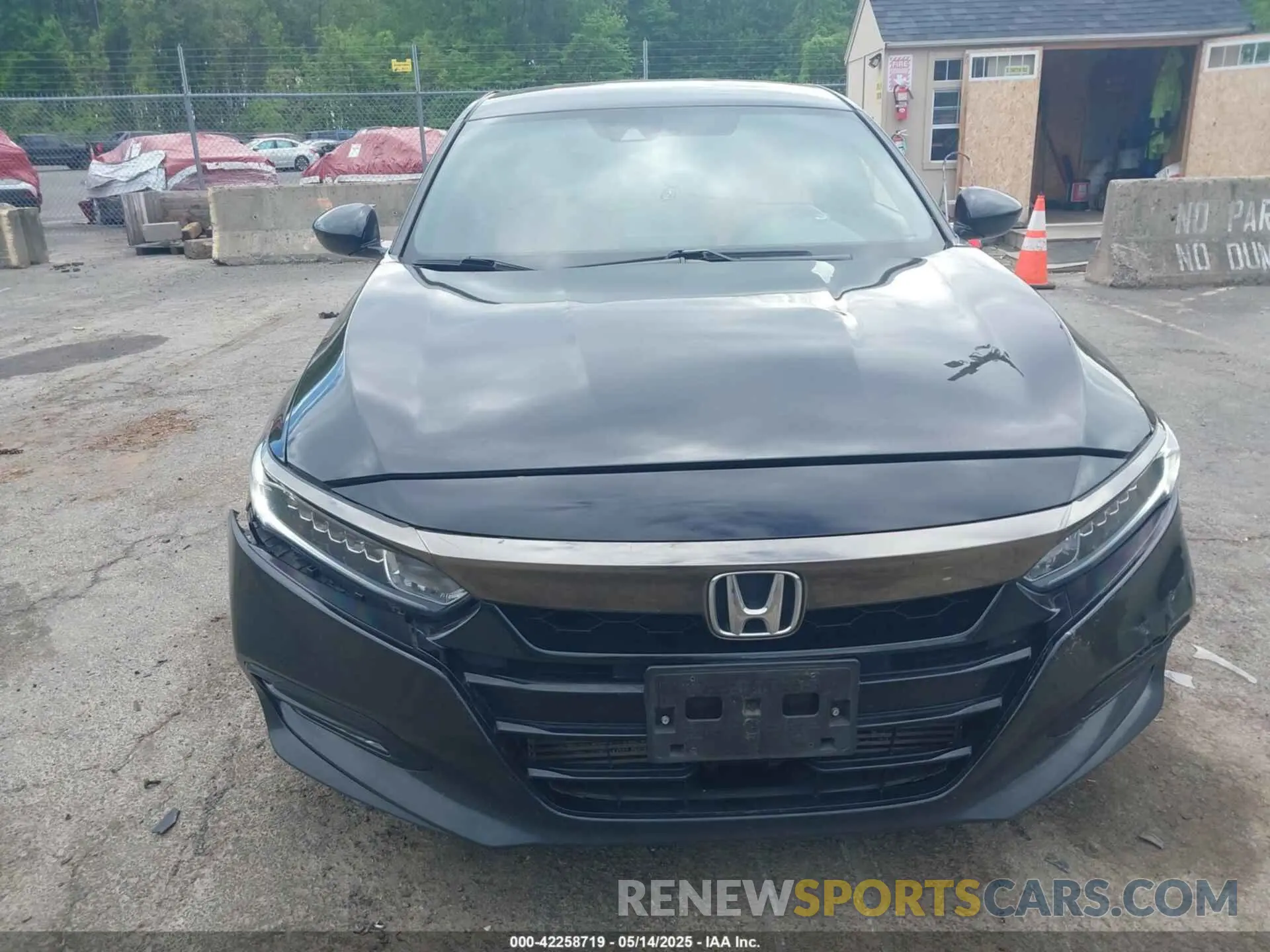 13 Photograph of a damaged car 1HGCV1E37KA035642 HONDA ACCORD 2019