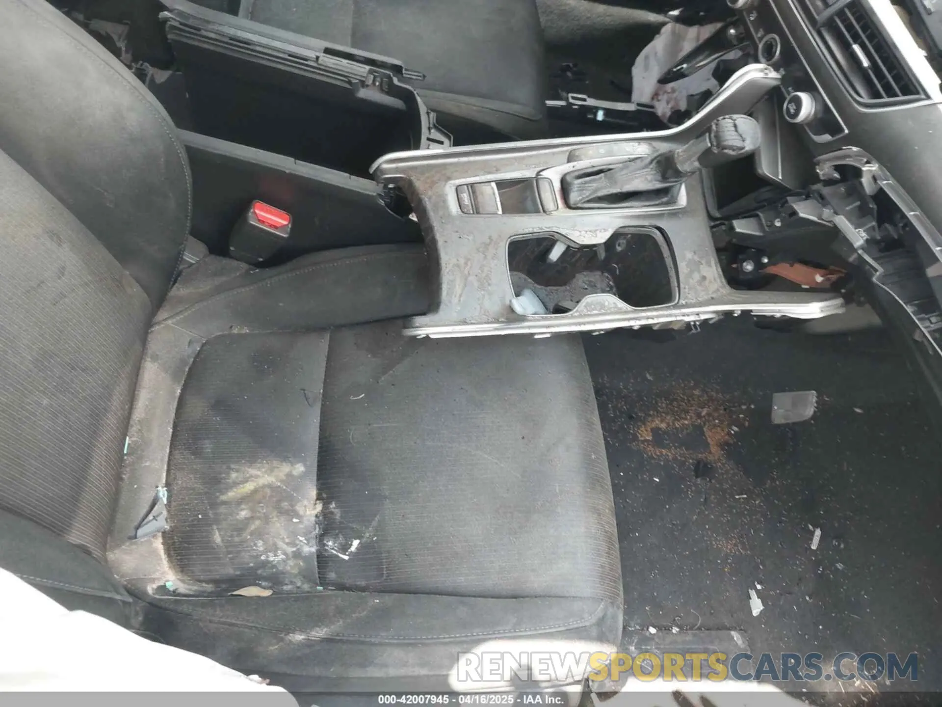 12 Photograph of a damaged car 1HGCV1F10KA135918 HONDA ACCORD 2019
