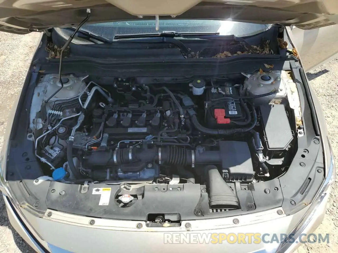 11 Photograph of a damaged car 1HGCV1F11KA098894 HONDA ACCORD 2019