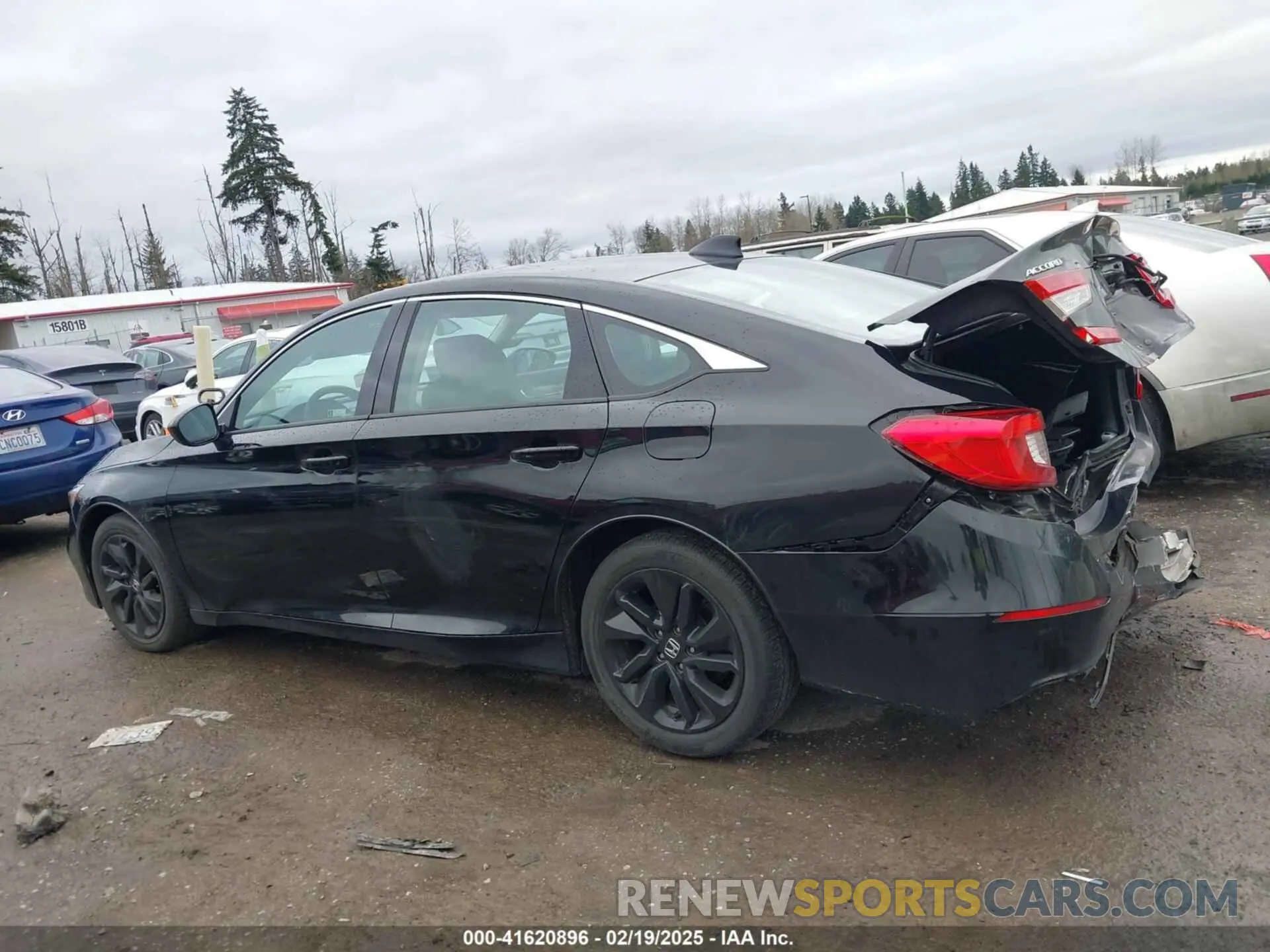 14 Photograph of a damaged car 1HGCV1F12KA006059 HONDA ACCORD 2019