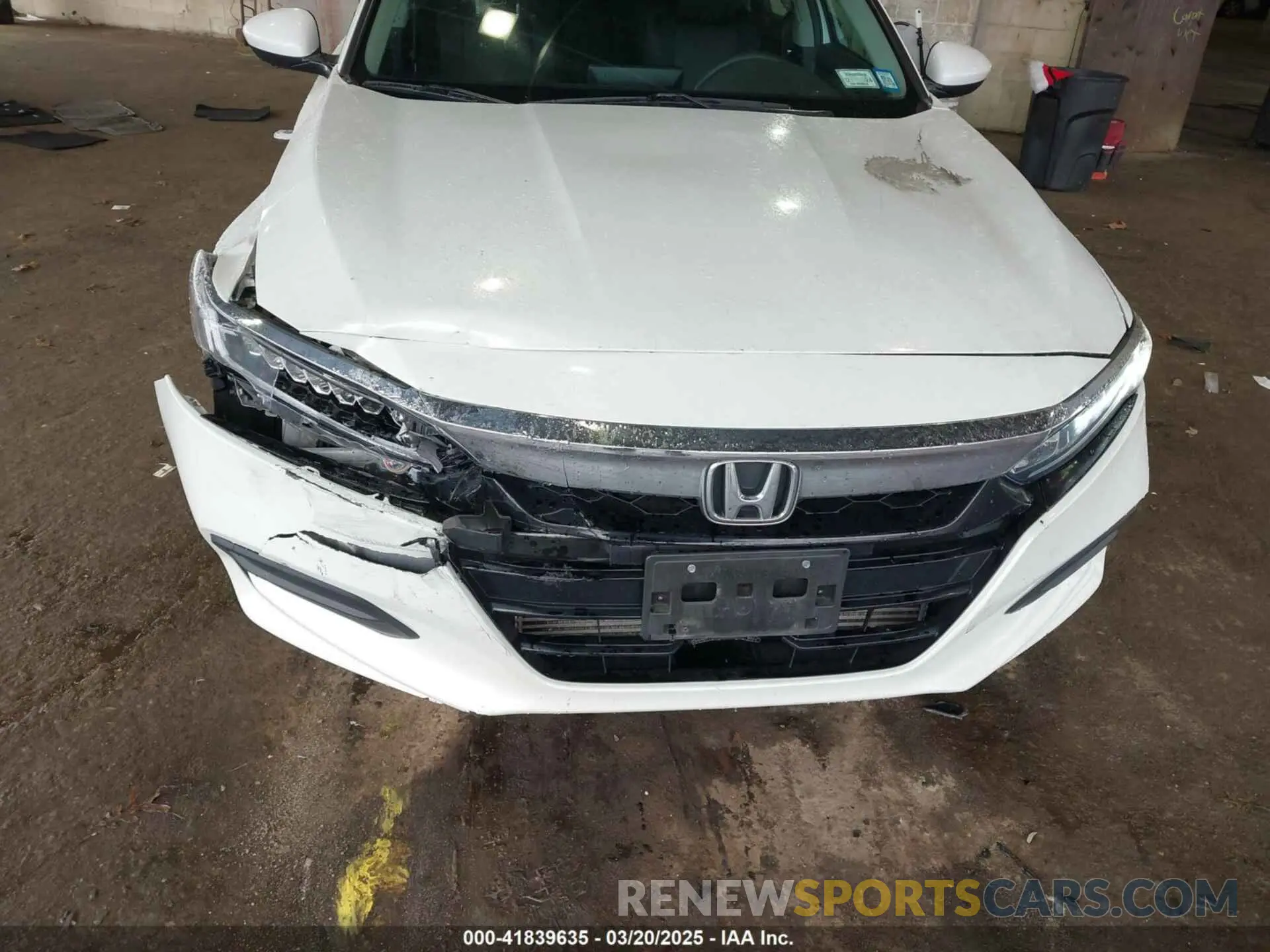 6 Photograph of a damaged car 1HGCV1F12KA135001 HONDA ACCORD 2019