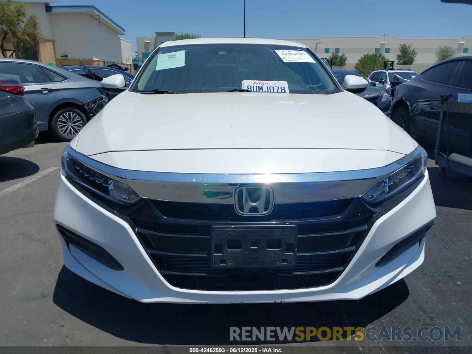 12 Фотография поврежденного автомобиля 1HGCV1F14KA116059 HONDA ACCORD 2019