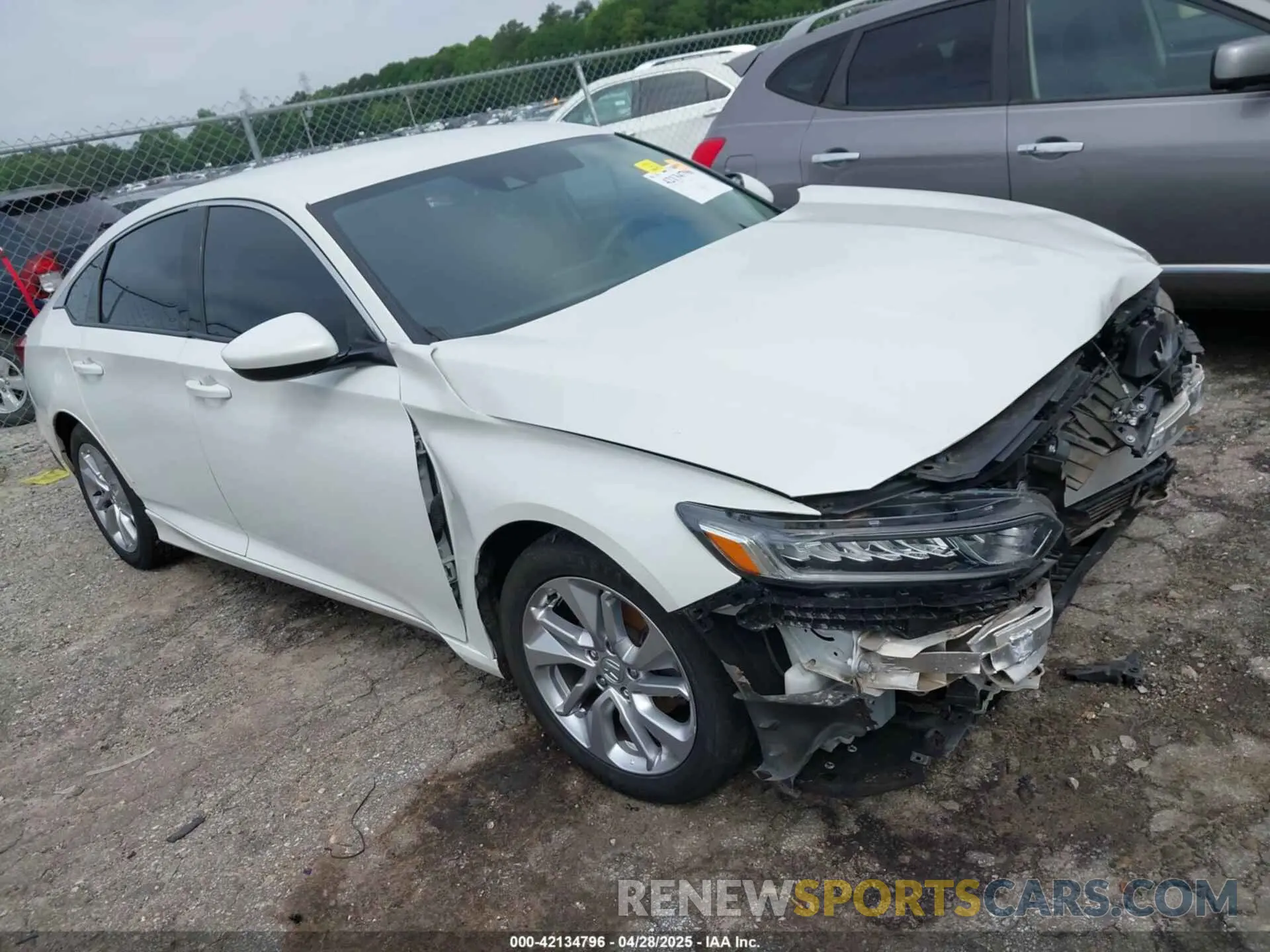 1 Photograph of a damaged car 1HGCV1F14KA157761 HONDA ACCORD 2019