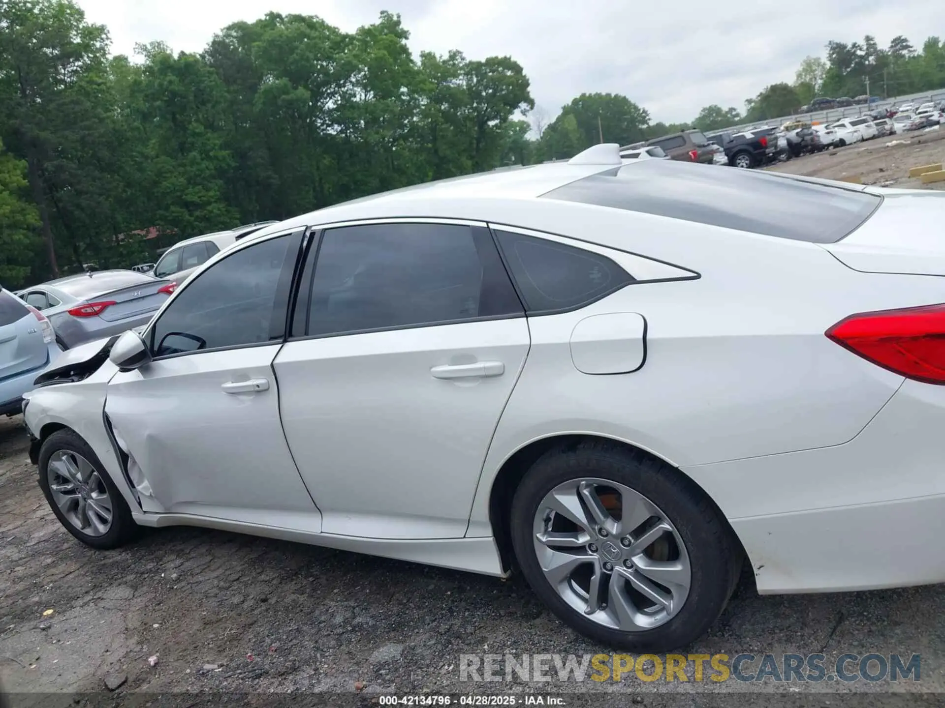14 Photograph of a damaged car 1HGCV1F14KA157761 HONDA ACCORD 2019