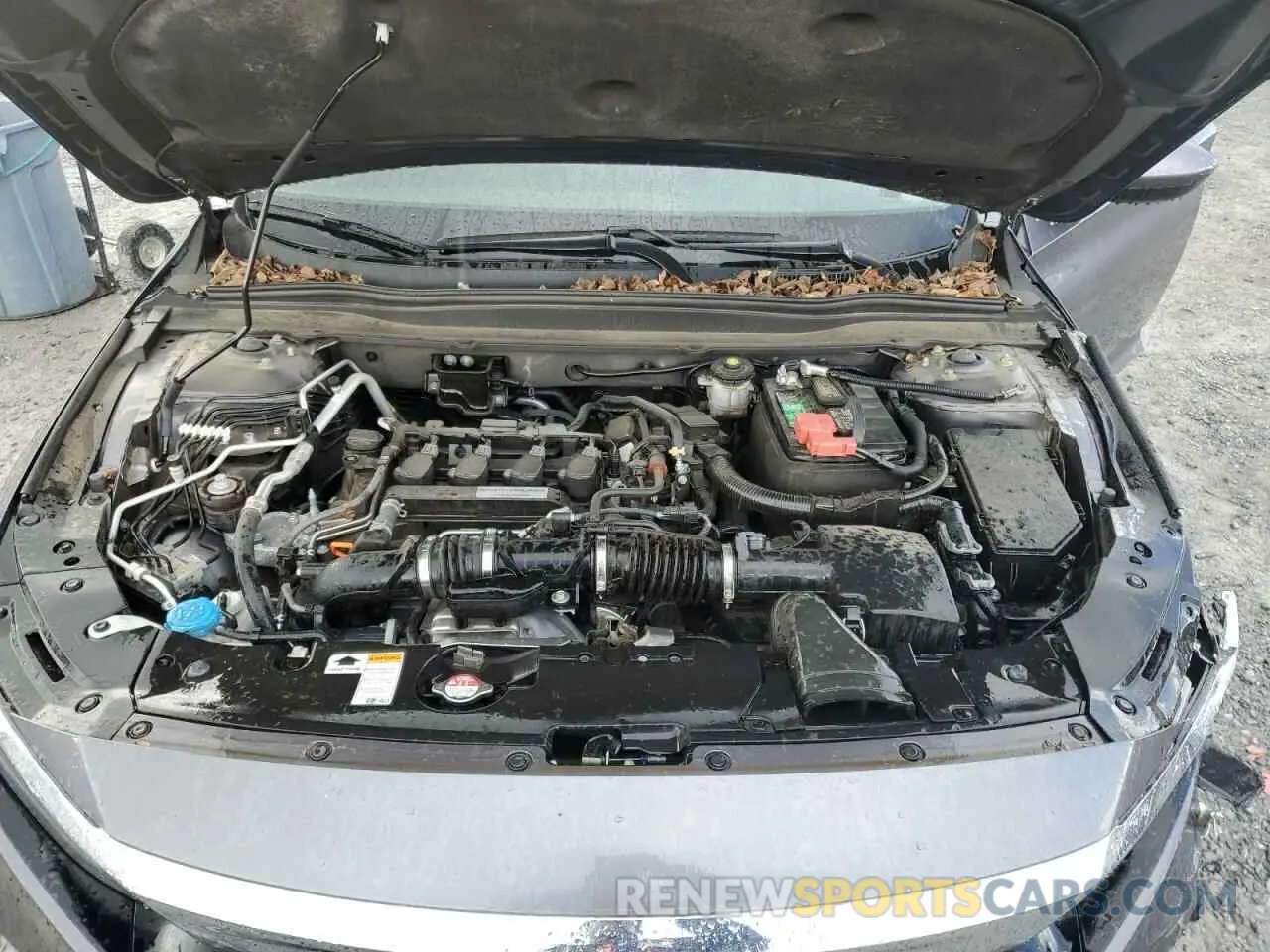 12 Photograph of a damaged car 1HGCV1F16KA005934 HONDA ACCORD 2019