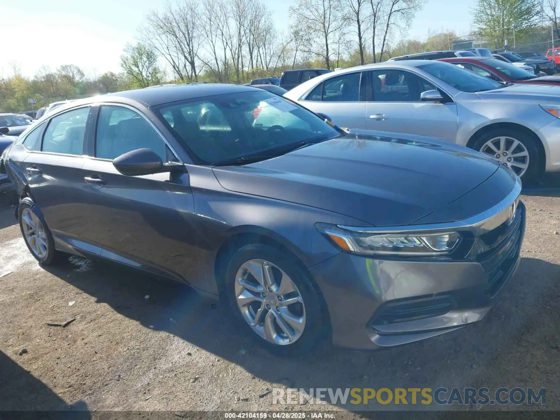 13 Photograph of a damaged car 1HGCV1F16KA126995 HONDA ACCORD 2019
