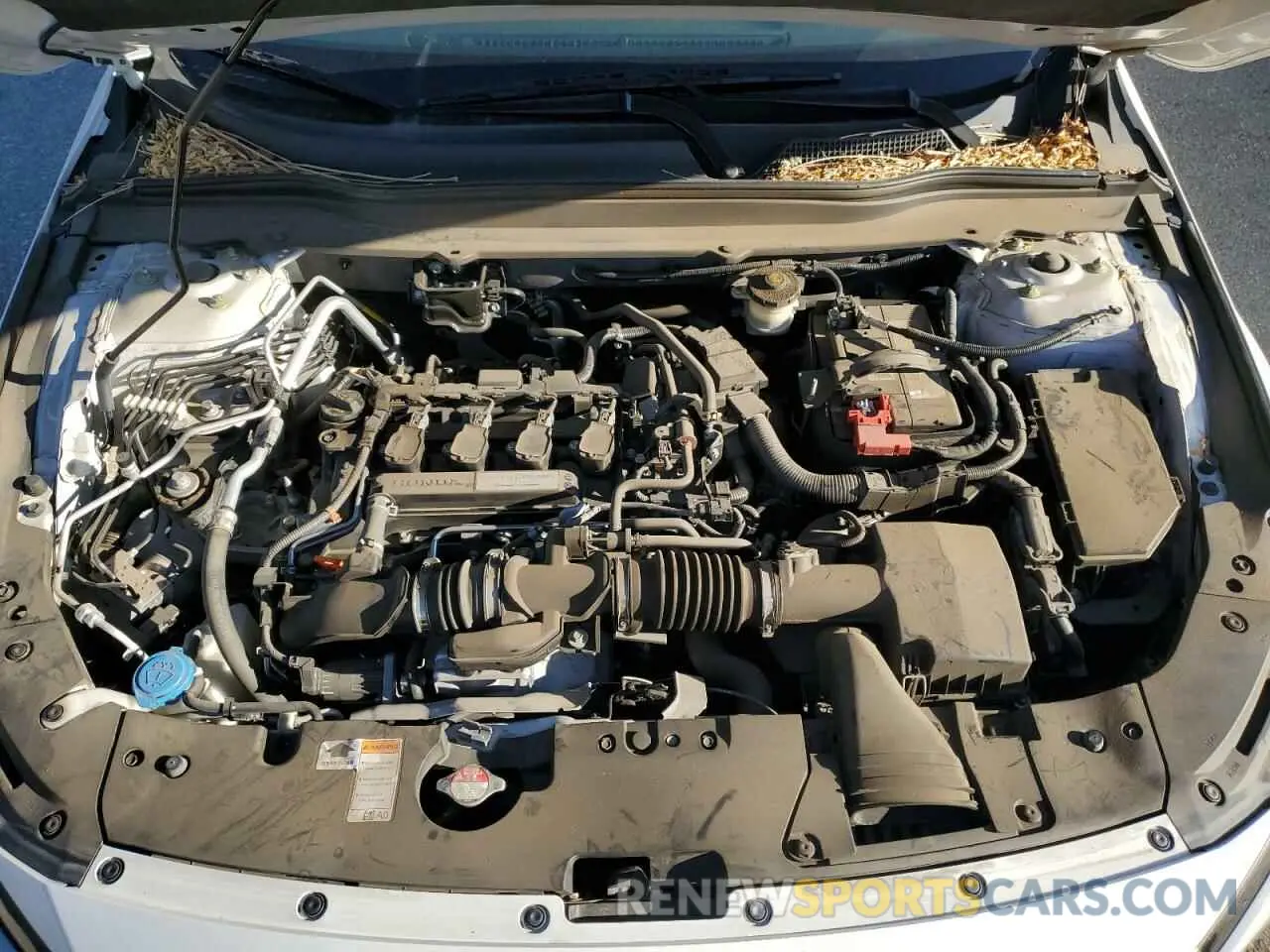 11 Фотография поврежденного автомобиля 1HGCV1F31KA126517 HONDA ACCORD 2019