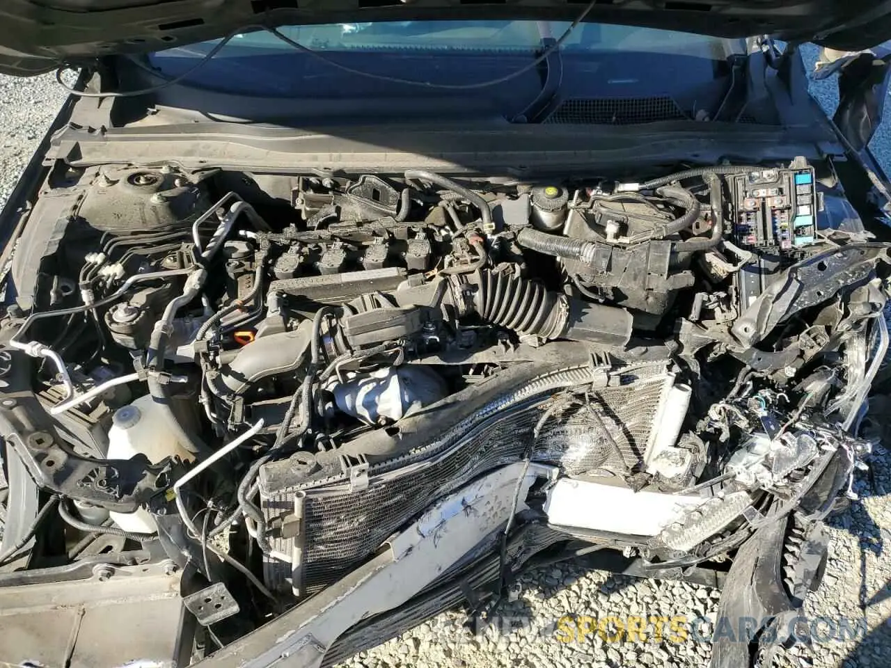 12 Фотография поврежденного автомобиля 1HGCV1F34KA151816 HONDA ACCORD 2019