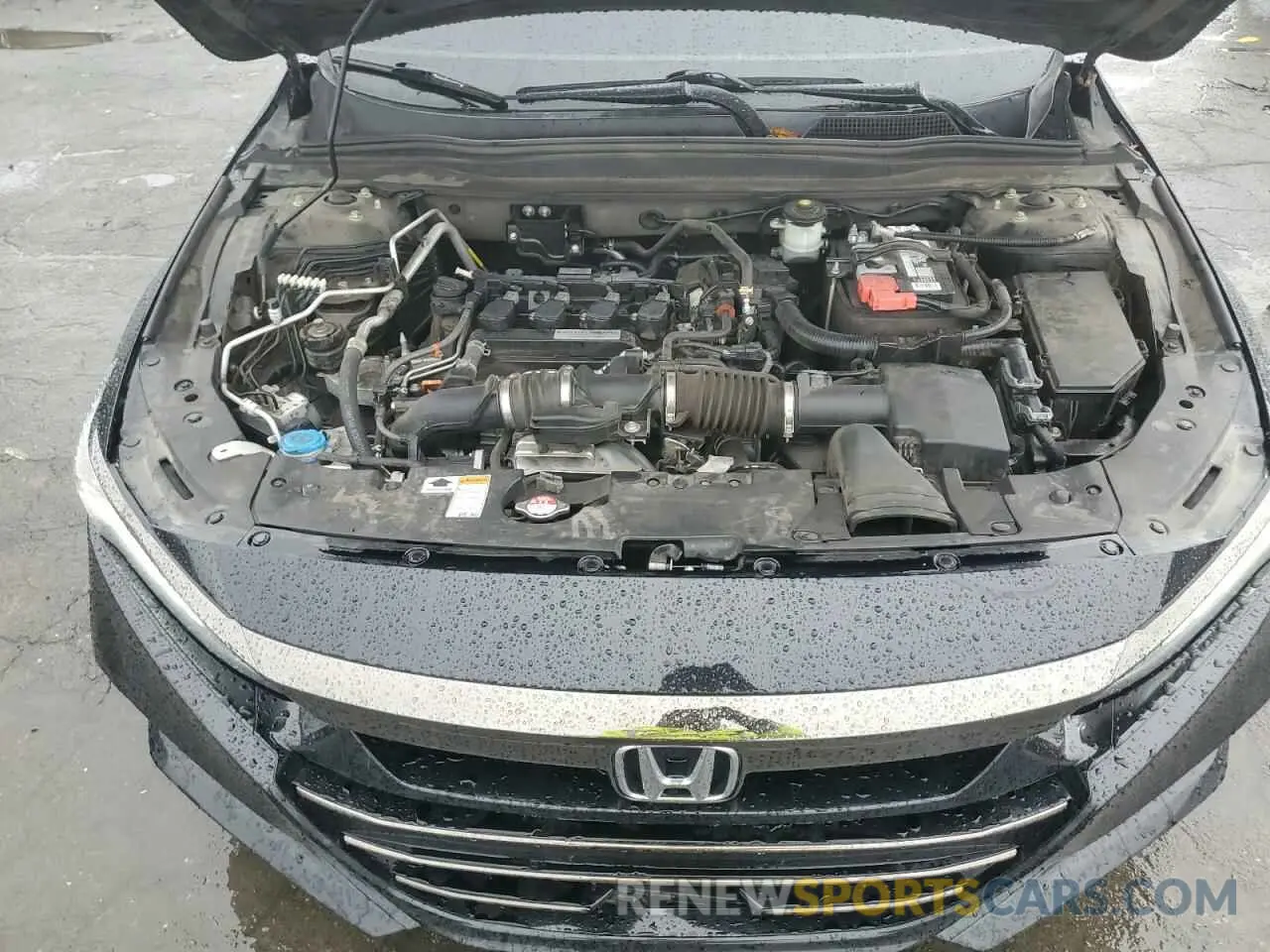 12 Photograph of a damaged car 1HGCV1F35KA045813 HONDA ACCORD 2019