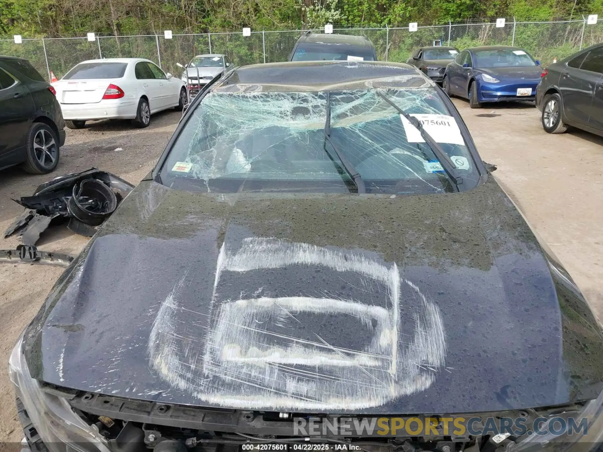 6 Фотография поврежденного автомобиля 1HGCV1F35KA115665 HONDA ACCORD 2019