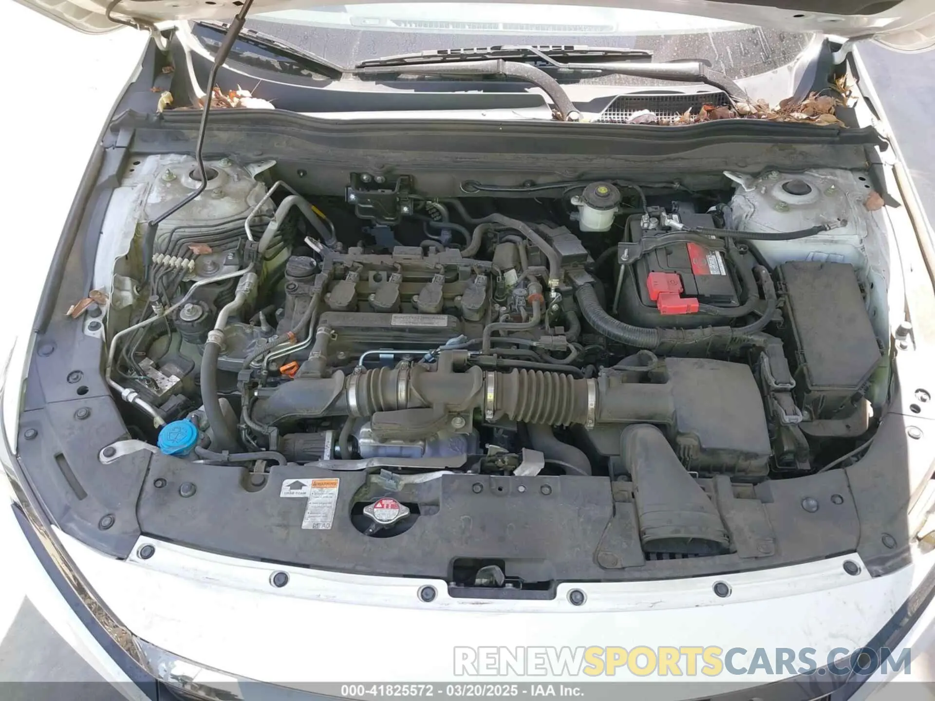10 Photograph of a damaged car 1HGCV1F38KA088462 HONDA ACCORD 2019