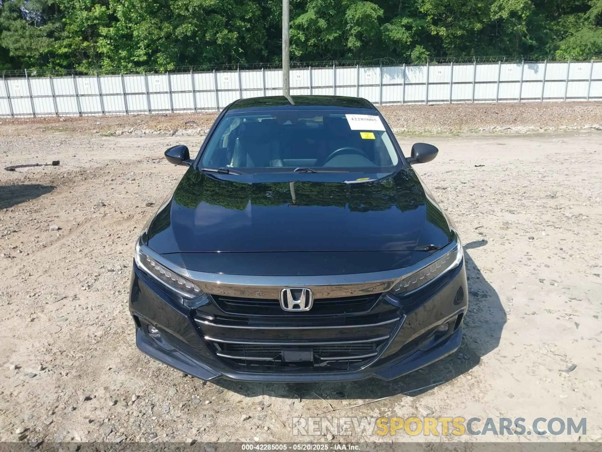 12 Photograph of a damaged car 1HGCV1F44MA021871 HONDA ACCORD 2021