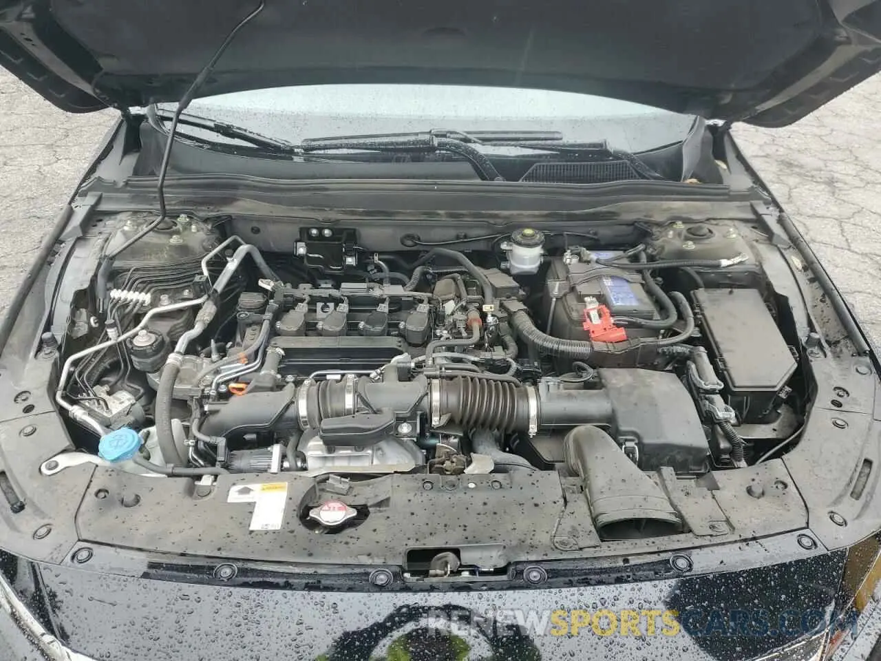 11 Photograph of a damaged car 1HGCV1F40NA081261 HONDA ACCORD 2022