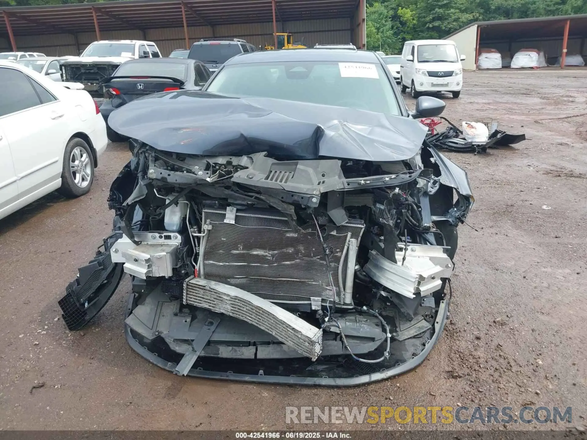12 Photograph of a damaged car 1HGCY1F31PA030868 HONDA ACCORD 2023