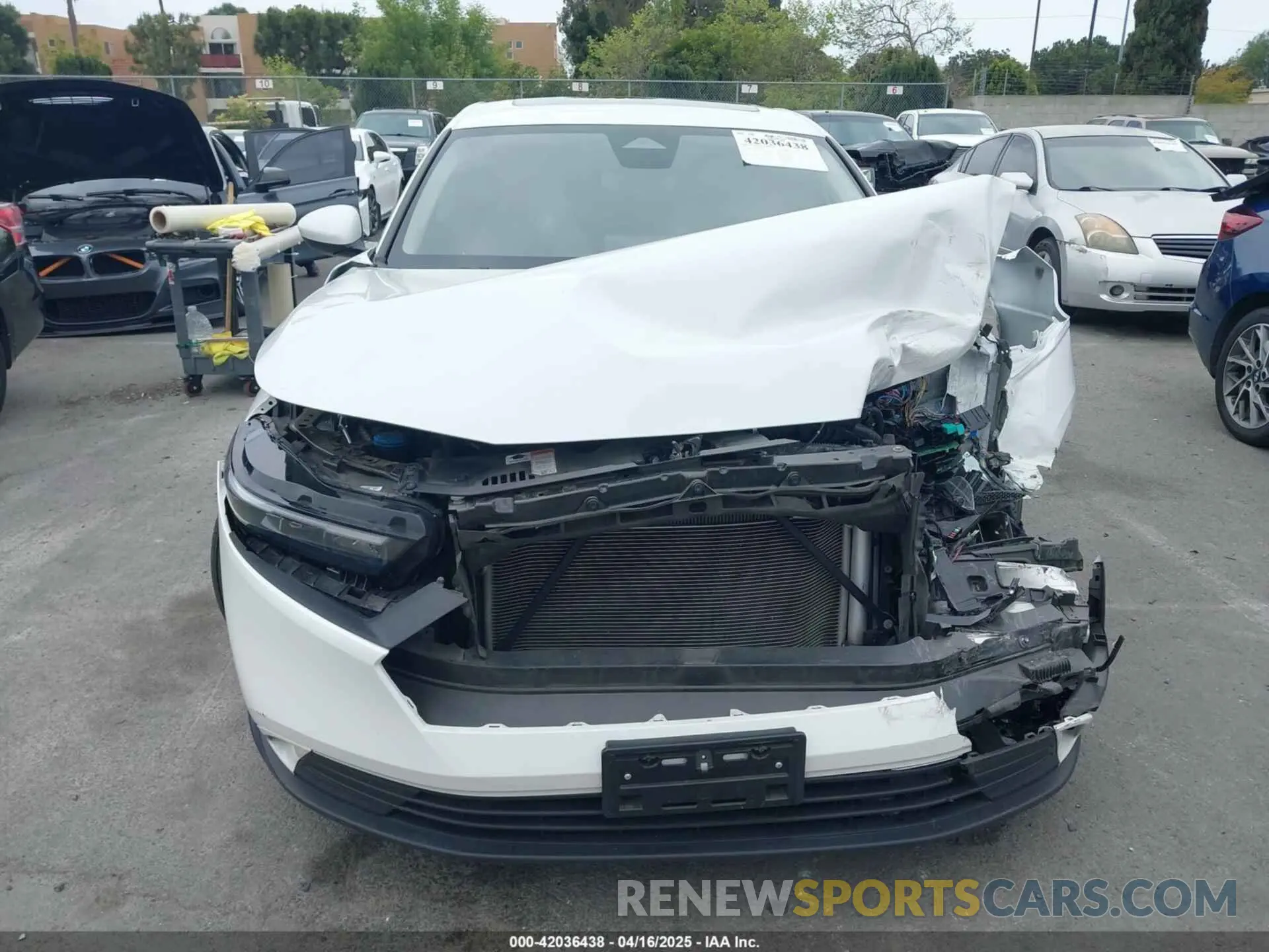12 Фотография поврежденного автомобиля 1HGCY1F37PA042166 HONDA ACCORD 2023