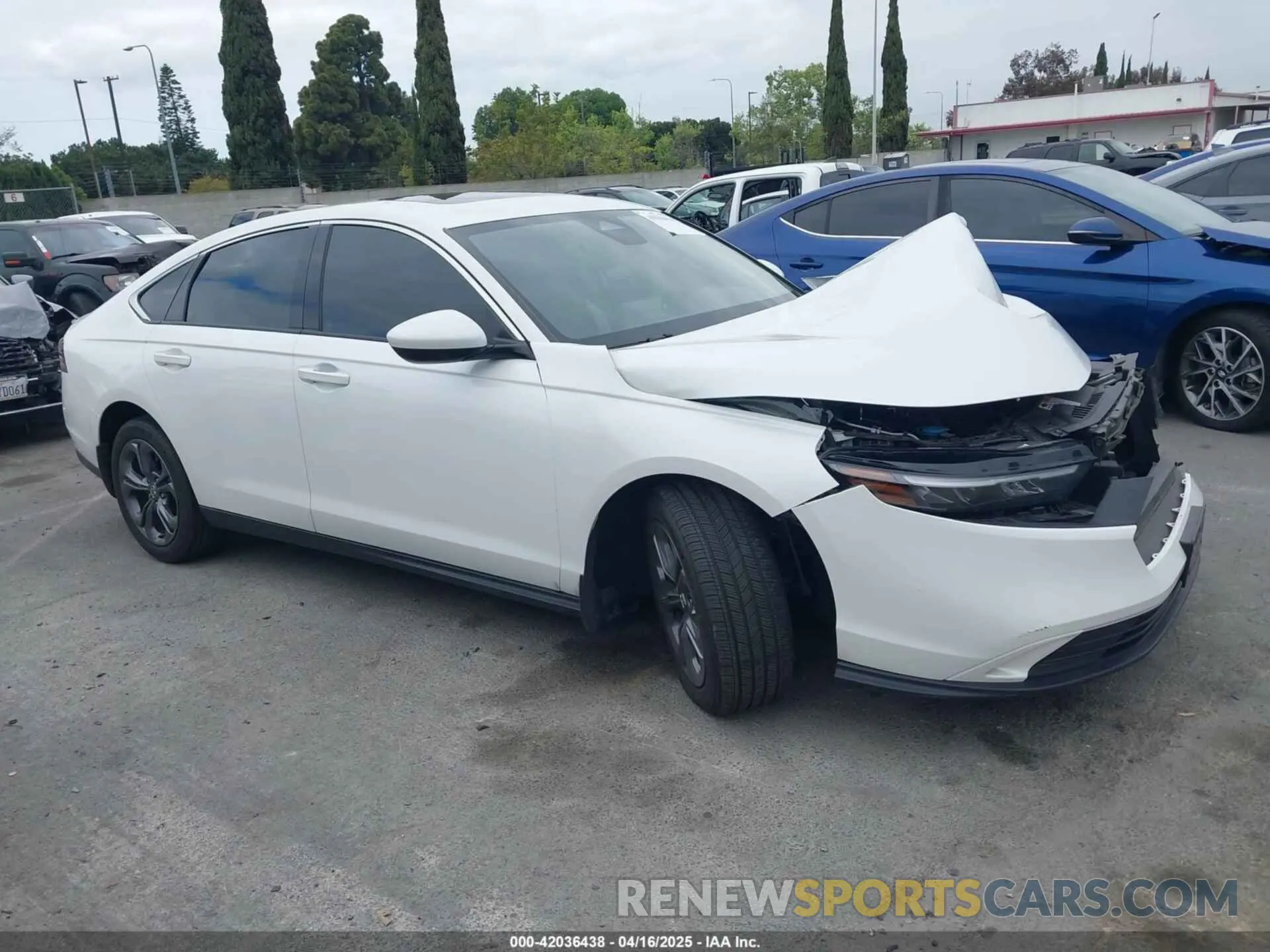 13 Фотография поврежденного автомобиля 1HGCY1F37PA042166 HONDA ACCORD 2023