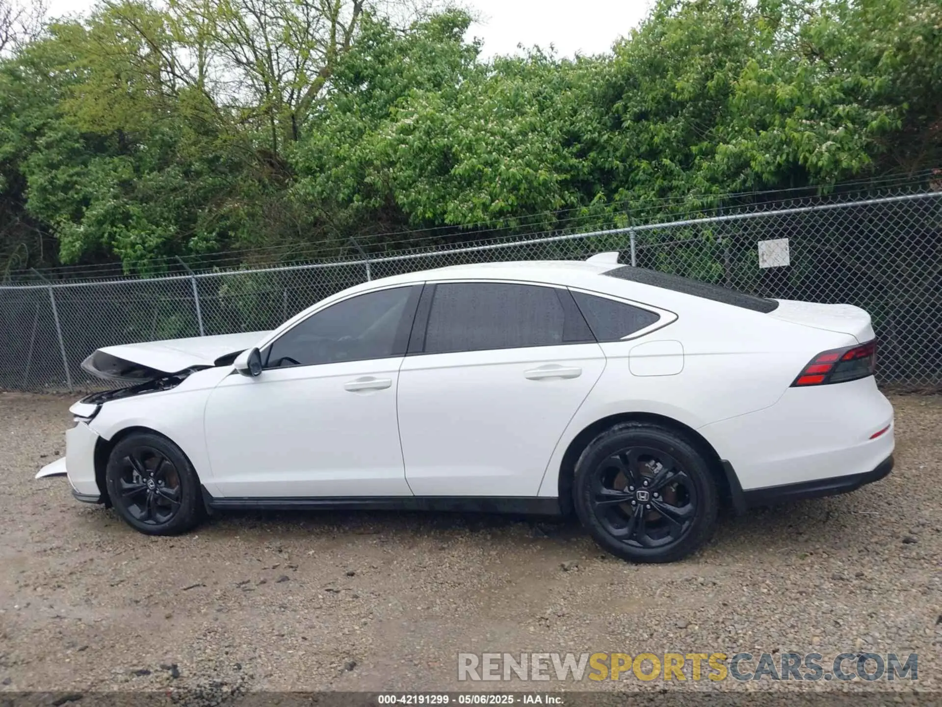 15 Фотография поврежденного автомобиля 1HGCY1F38PA035551 HONDA ACCORD 2023
