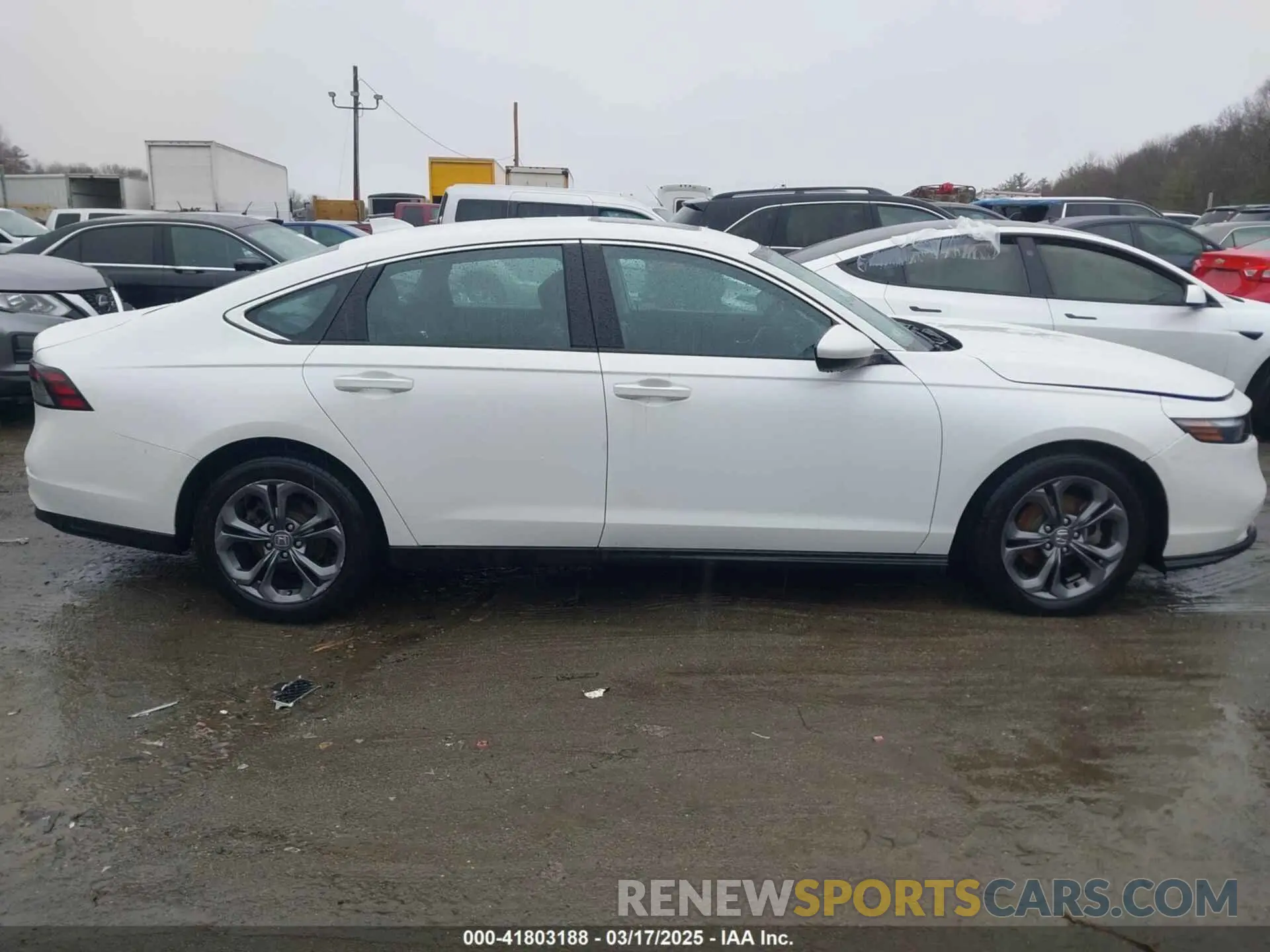 13 Photograph of a damaged car 1HGCY1F39PA047319 HONDA ACCORD 2023