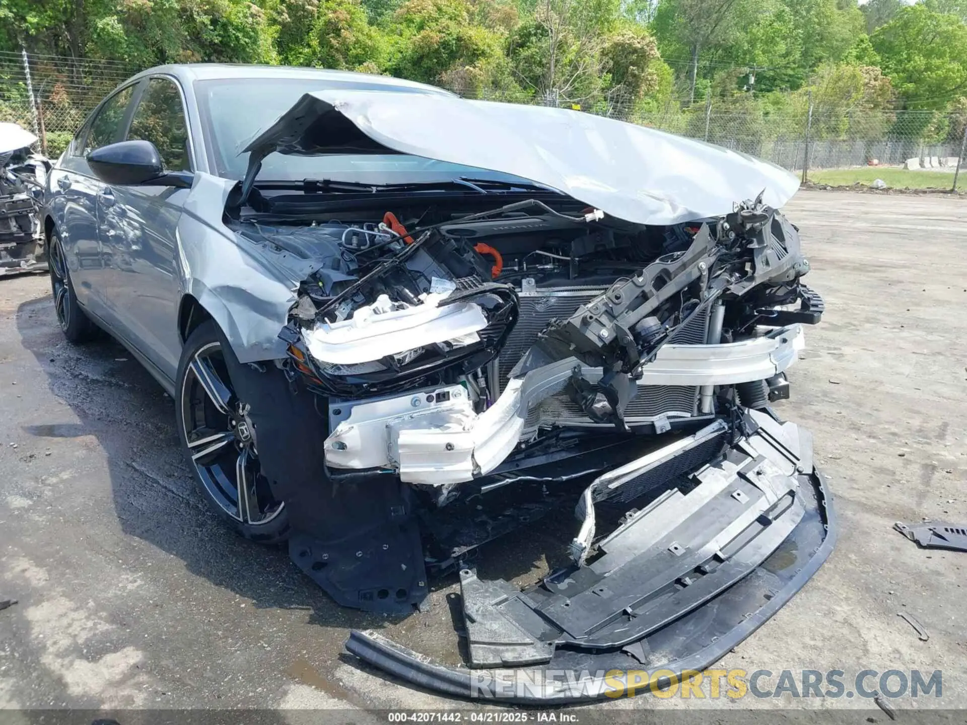 6 Photograph of a damaged car 1HGCY2F54PA014557 HONDA ACCORD 2023