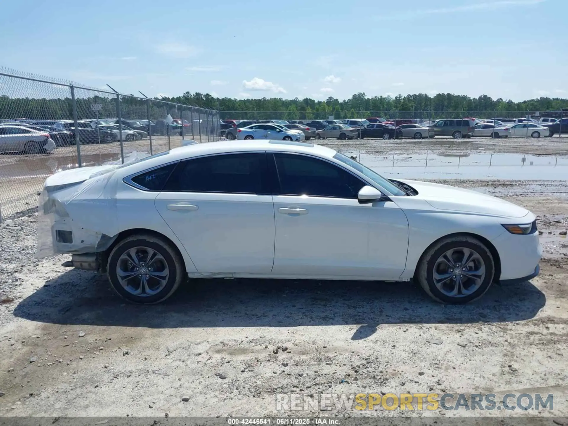 13 Фотография поврежденного автомобиля 1HGCY1F31RA065087 HONDA ACCORD 2024