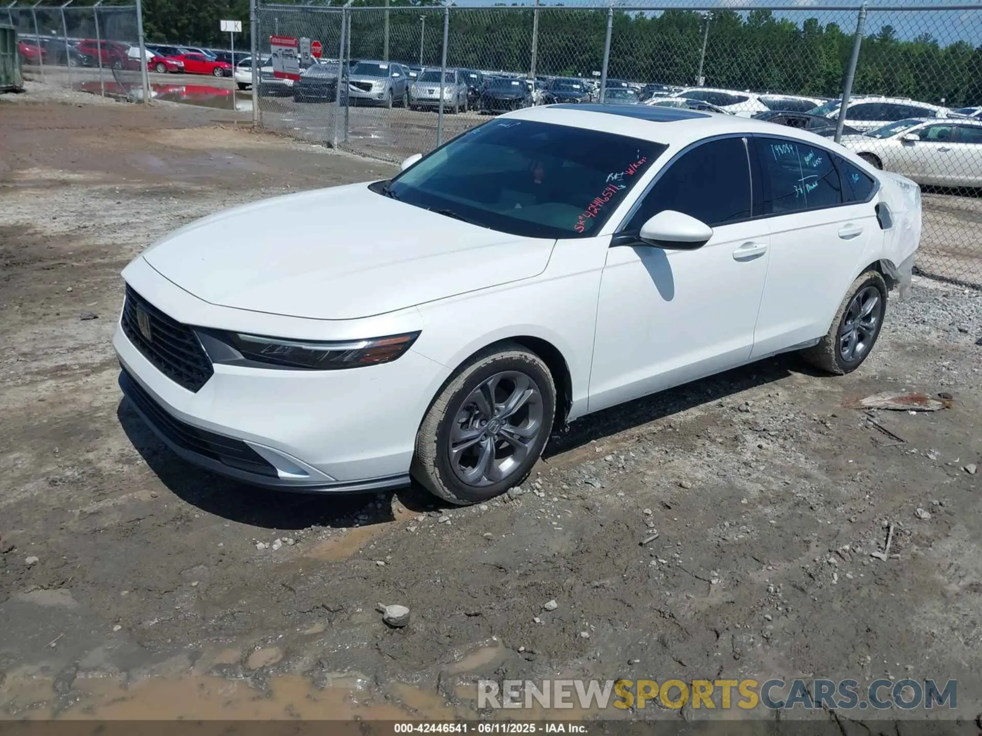 2 Фотография поврежденного автомобиля 1HGCY1F31RA065087 HONDA ACCORD 2024