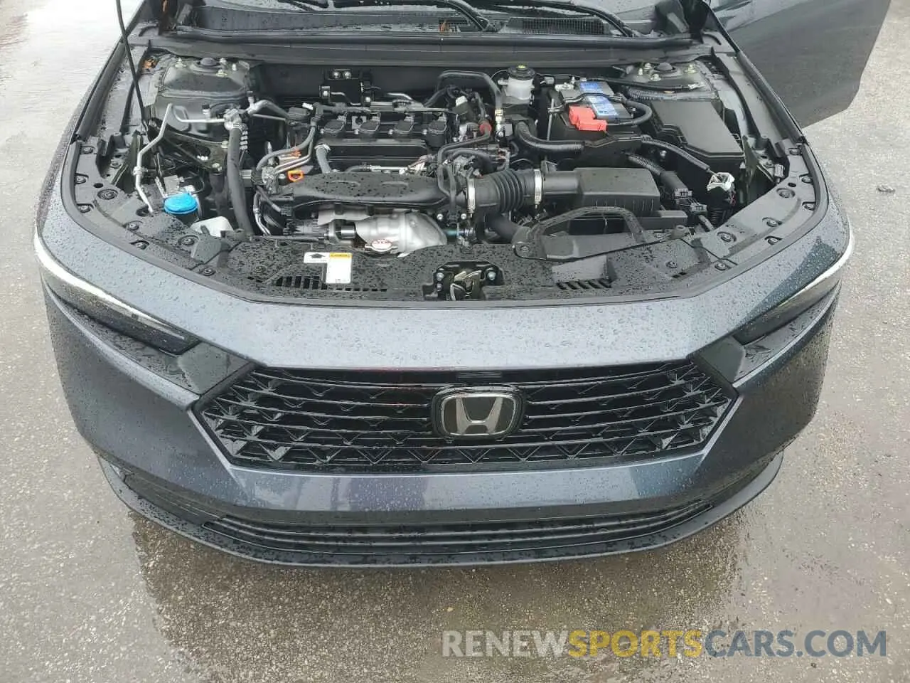 11 Photograph of a damaged car 1HGCY1F37RA046916 HONDA ACCORD 2024