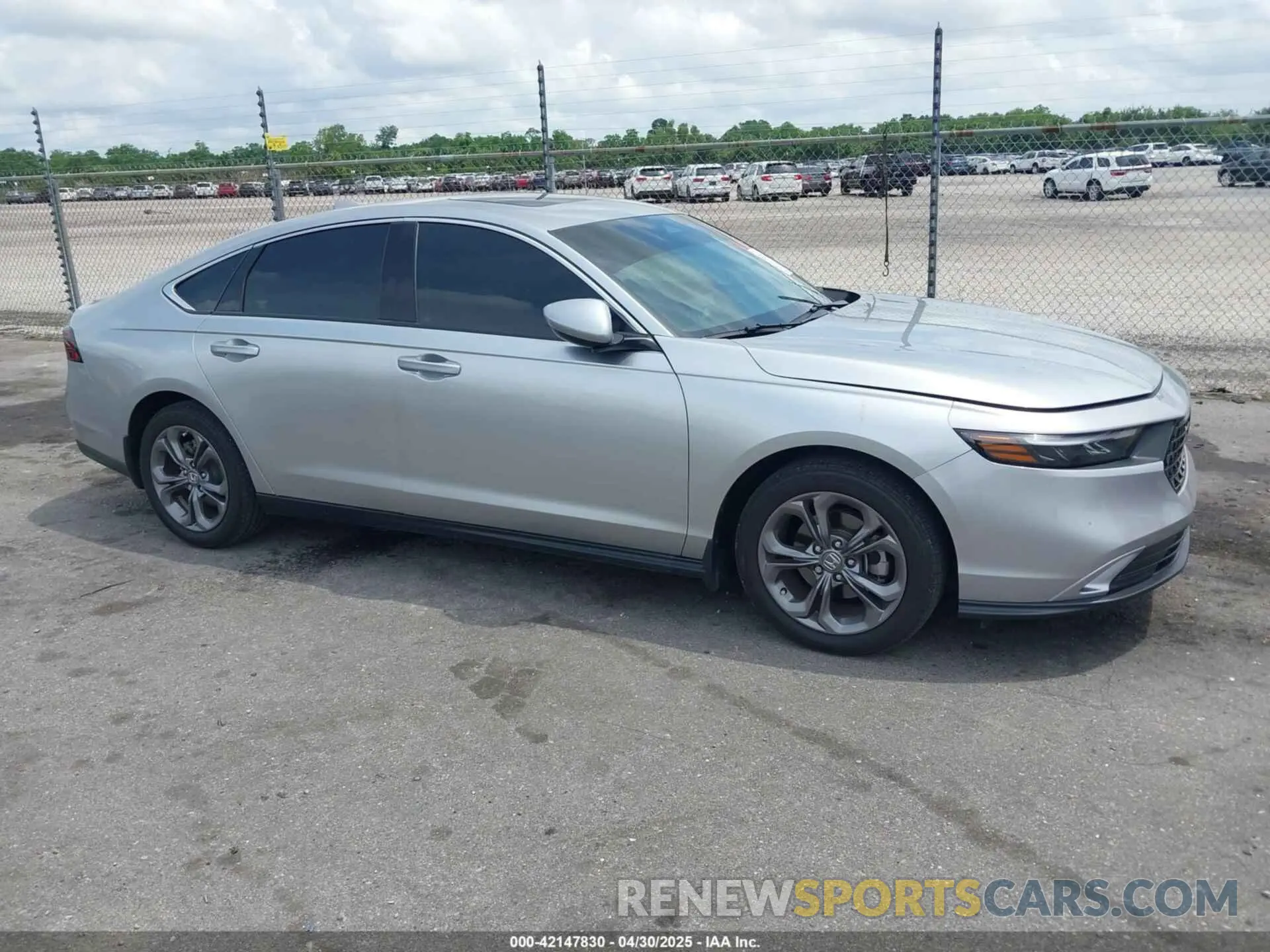 13 Photograph of a damaged car 1HGCY1F38RA007235 HONDA ACCORD 2024