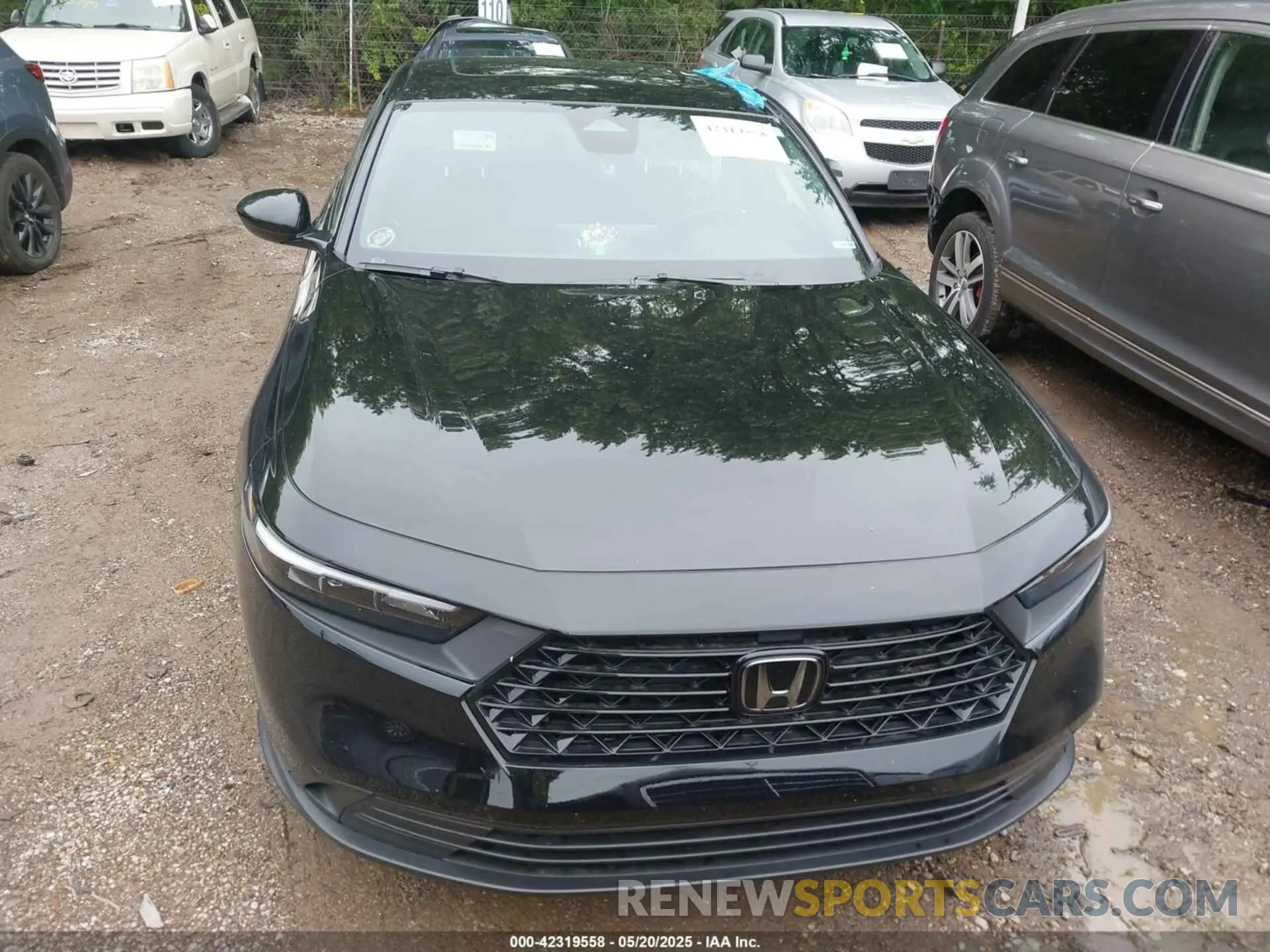 12 Photograph of a damaged car 1HGCY2F55RA061597 HONDA ACCORD 2024