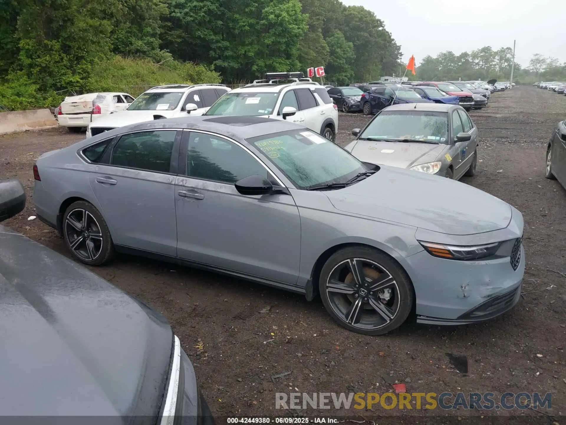 12 Photograph of a damaged car 1HGCY2F57RA088025 HONDA ACCORD 2024