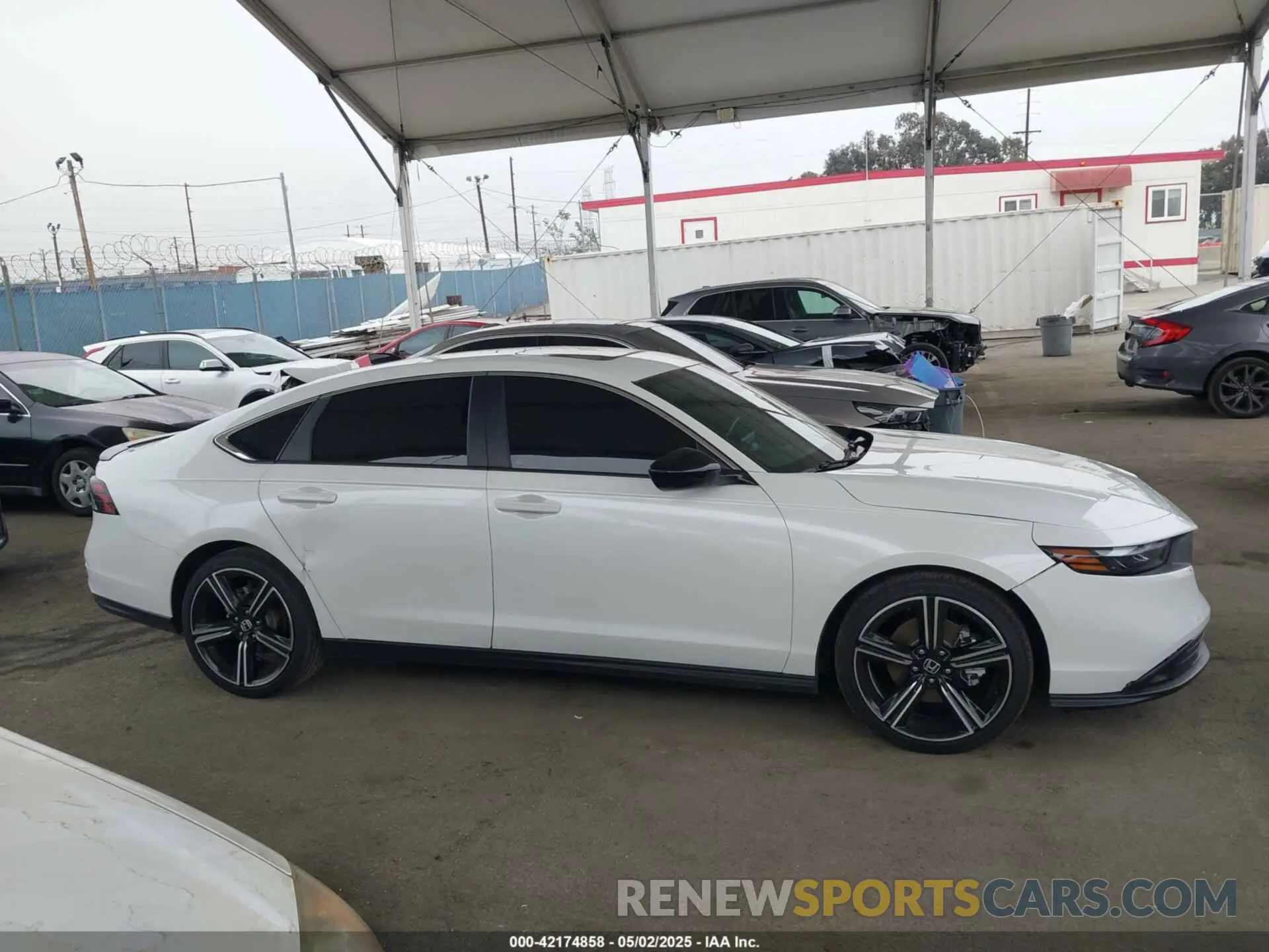 13 Photograph of a damaged car 1HGCY2F59RA066740 HONDA ACCORD 2024
