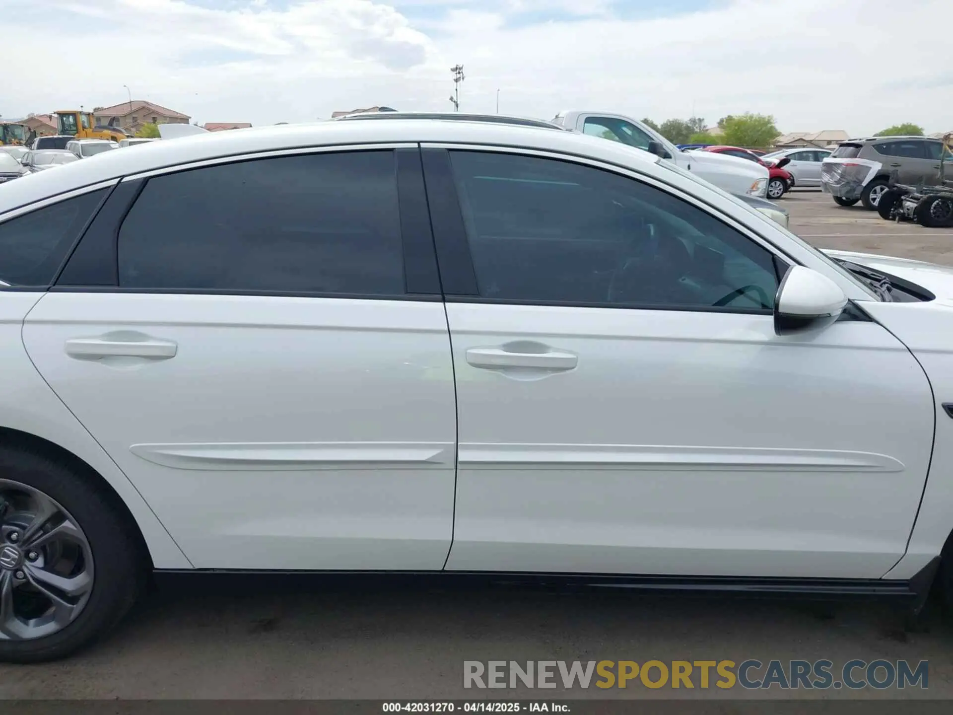 13 Photograph of a damaged car 1HGCY2F69RA073017 HONDA ACCORD 2024