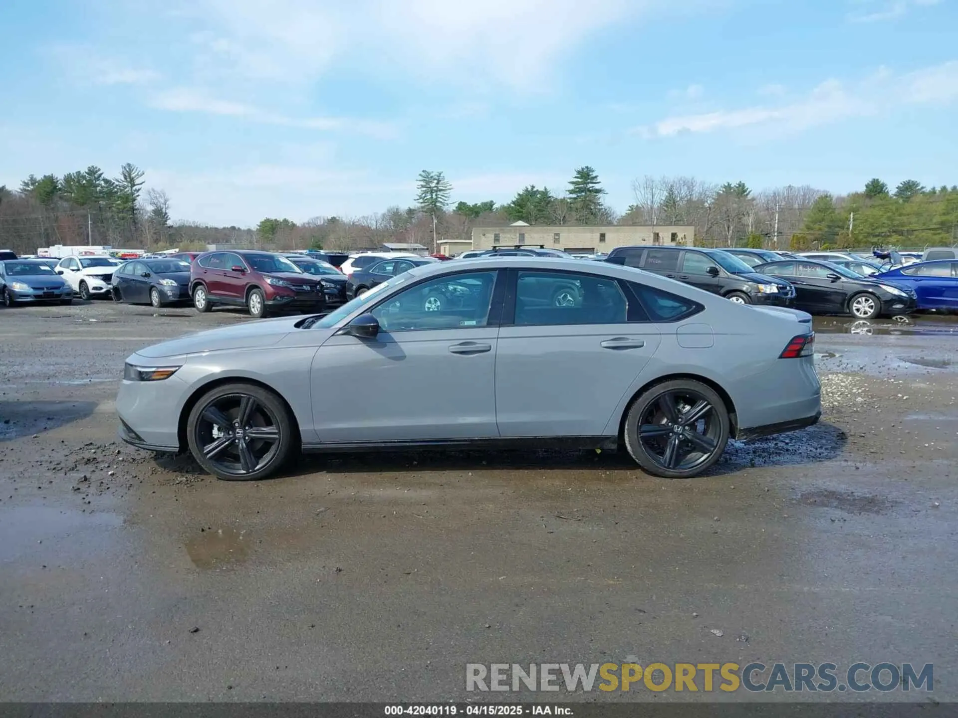 14 Photograph of a damaged car 1HGCY2F73RA057842 HONDA ACCORD 2024