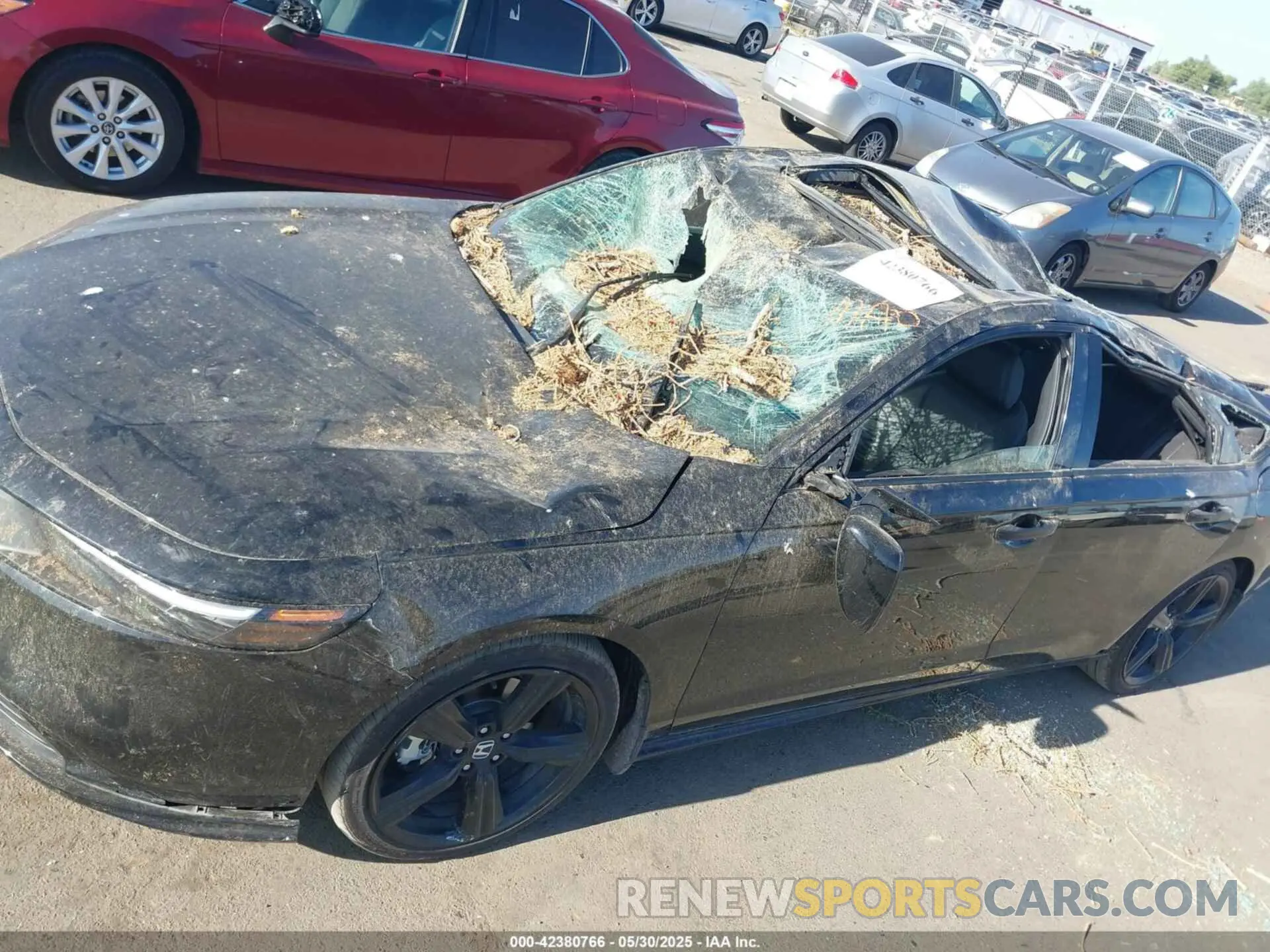 6 Photograph of a damaged car 1HGCY2F77RA062476 HONDA ACCORD 2024