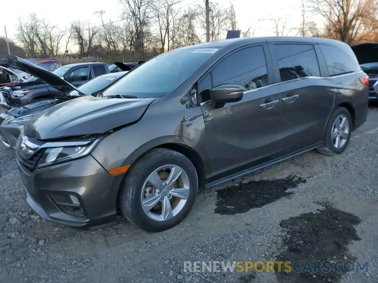 1 Фотография поврежденного автомобиля 5FNRL6H7XKB124901 HONDA All Models 2019
