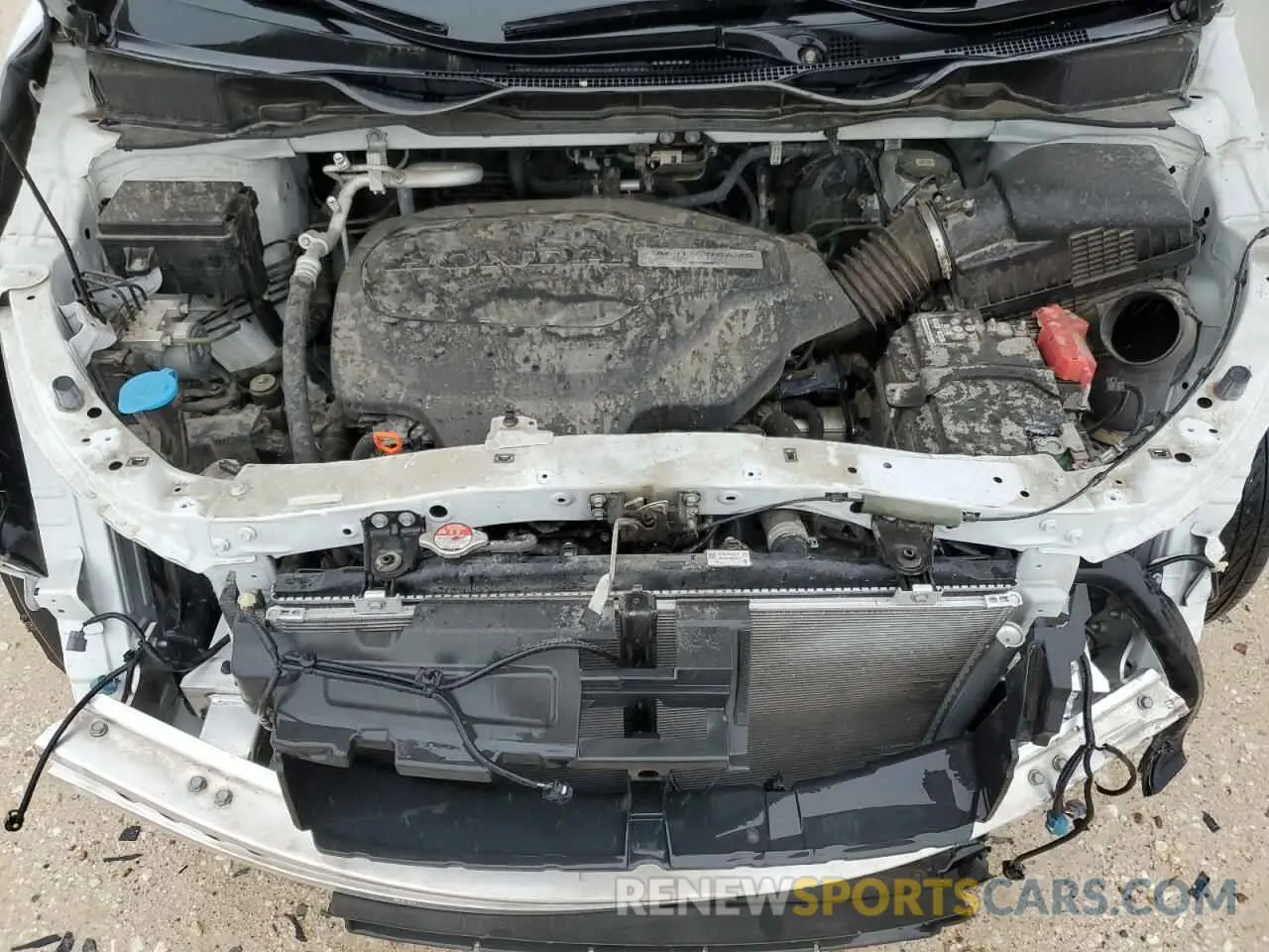 12 Photograph of a damaged car 5FNRL6H71LB026244 HONDA All Models 2020