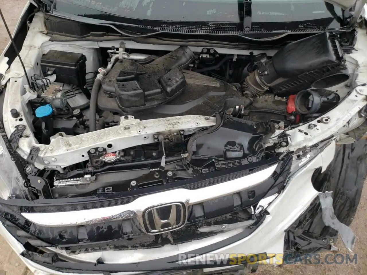 12 Фотография поврежденного автомобиля 5FNRL6H73LB039495 HONDA All Models 2020