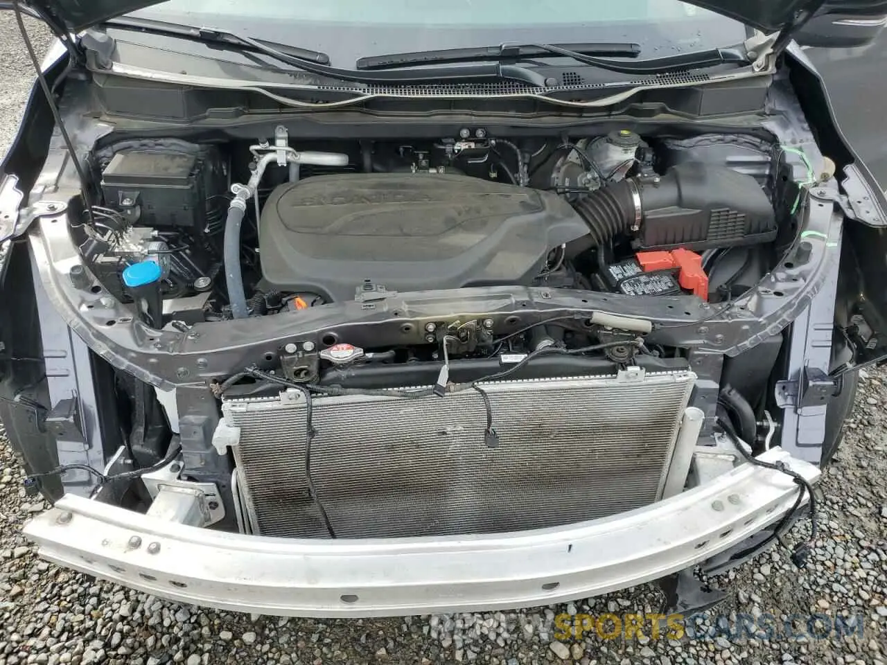 12 Фотография поврежденного автомобиля 5FNRL6H66RB007026 HONDA All Models 2024
