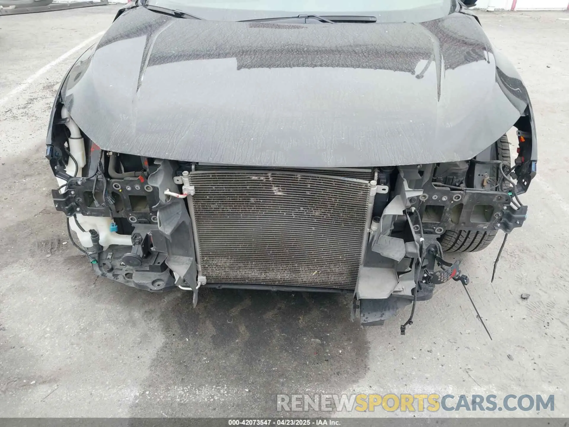 6 Photograph of a damaged car 2HGFC2F81MH534850 HONDA CIVIC 2021