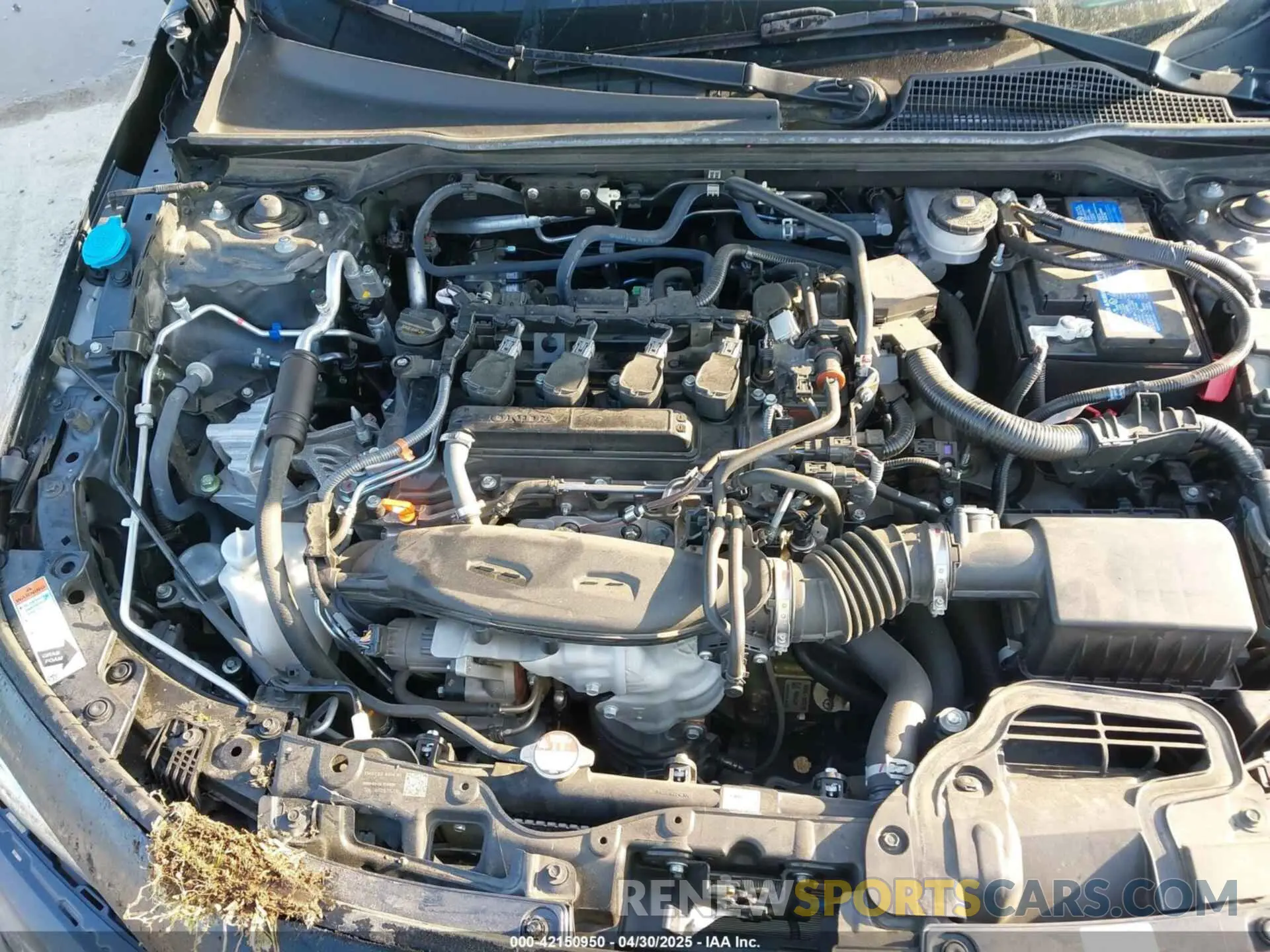 10 Photograph of a damaged car 19XFL1H8XPE006441 HONDA CIVIC 2023