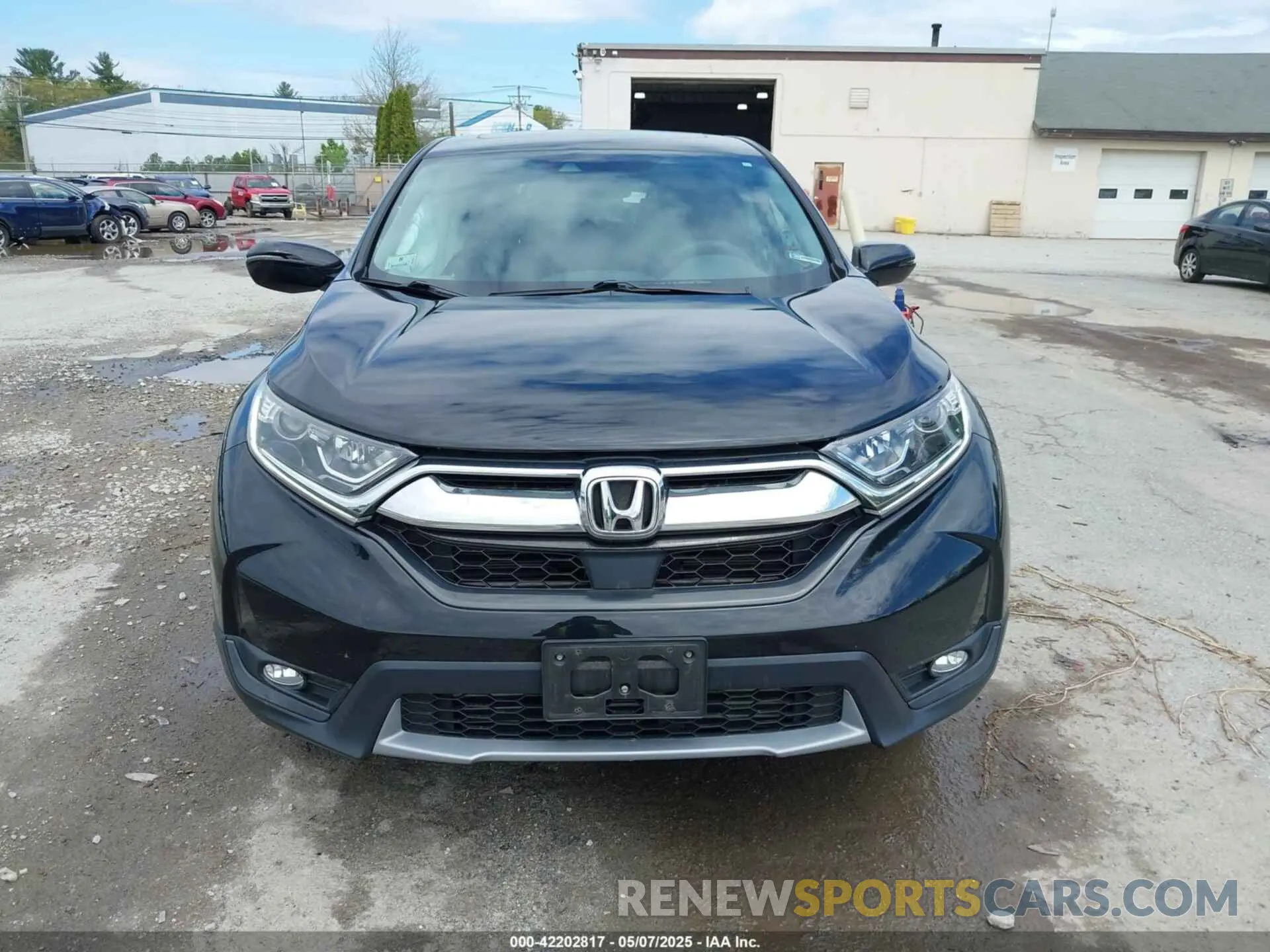 12 Photograph of a damaged car 2HKRW2H52KH616497 HONDA CR-V 2019