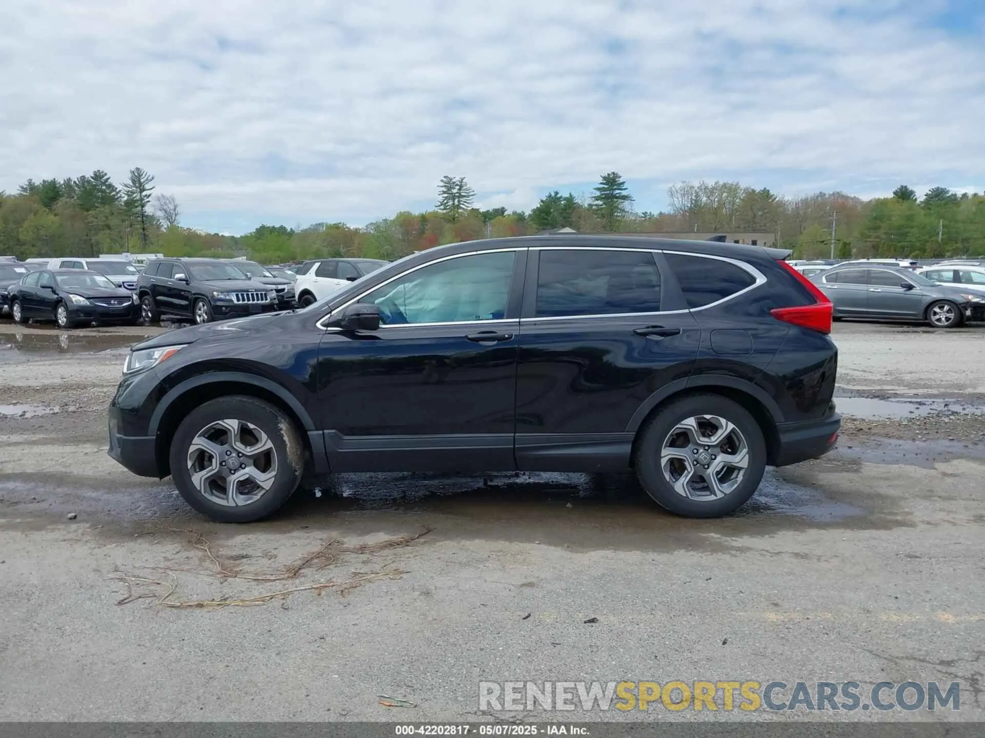 14 Photograph of a damaged car 2HKRW2H52KH616497 HONDA CR-V 2019