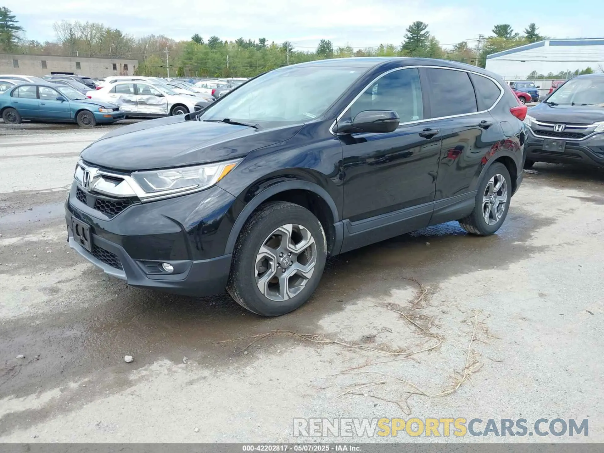 2 Photograph of a damaged car 2HKRW2H52KH616497 HONDA CR-V 2019