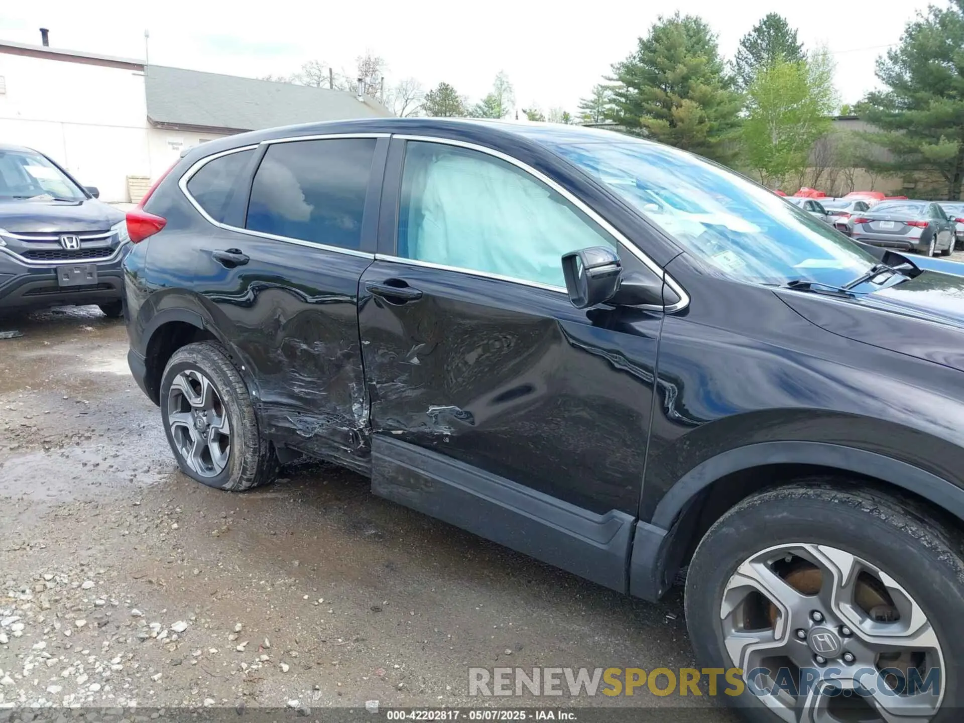 6 Photograph of a damaged car 2HKRW2H52KH616497 HONDA CR-V 2019