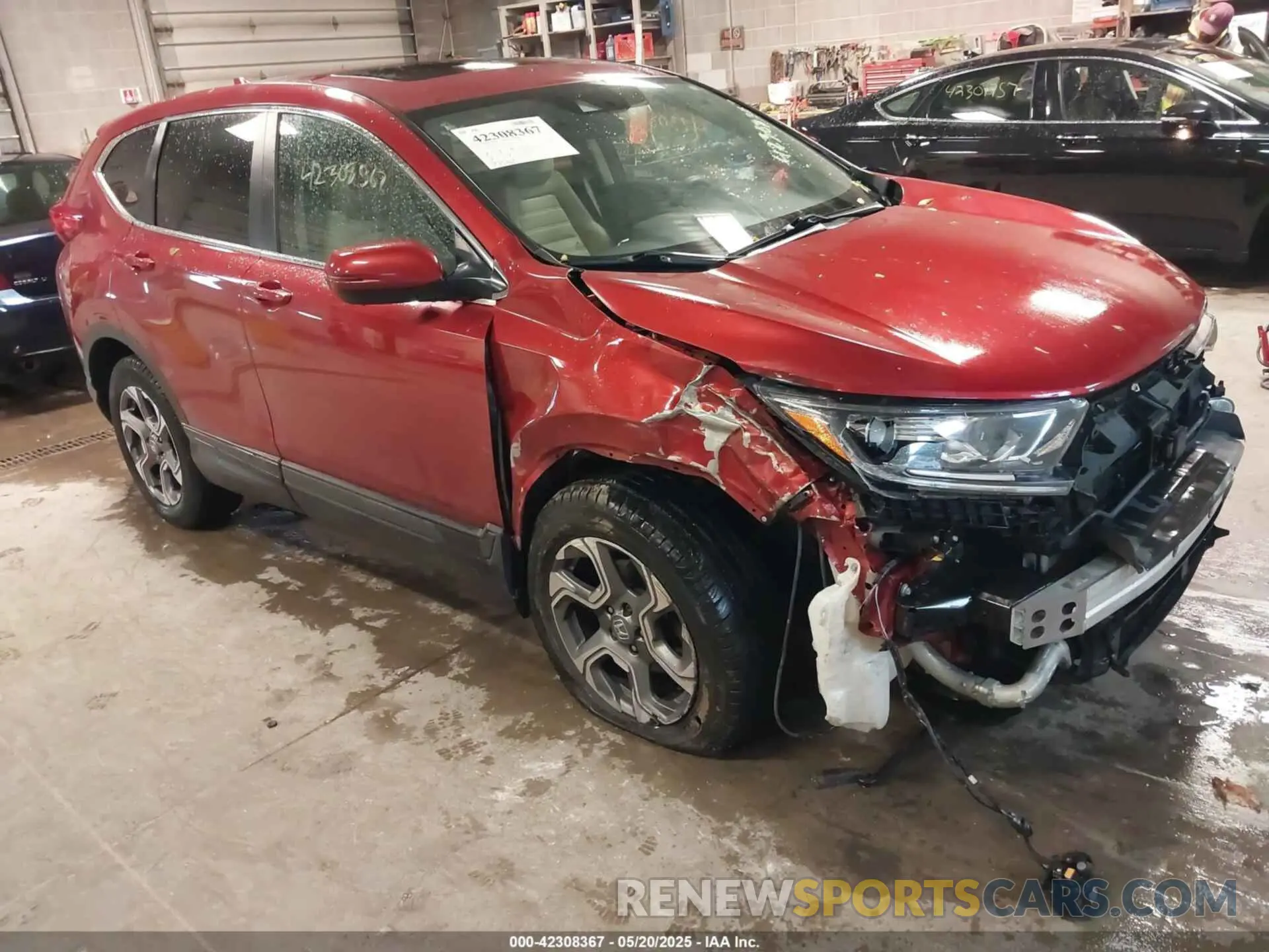 1 Photograph of a damaged car 2HKRW2H57KH604457 HONDA CR-V 2019